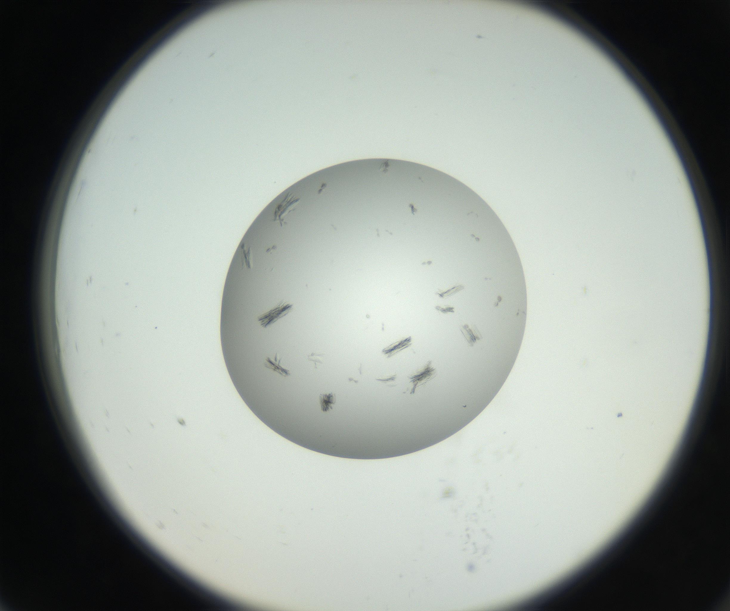 RI01_03_000_0212_Proj1_Clon1_MC_0000MC102652_007_160830_07_07_02_00_99_002_001_RAI.jpg