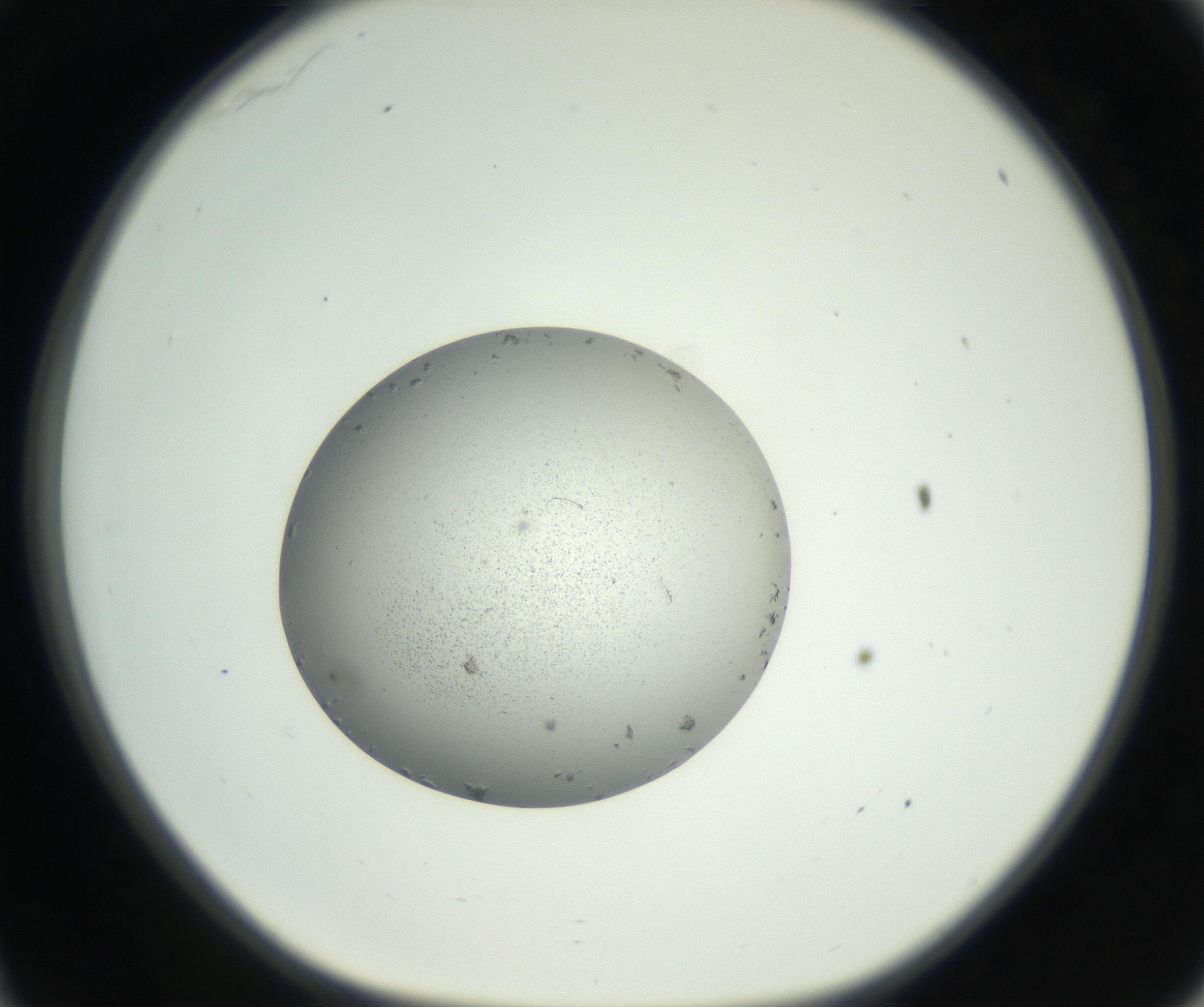 RI01_03_000_0212_Proj1_Clon1_MC_0000MC102652_007_160830_11_03_01_00_99_002_001_RAI.jpg