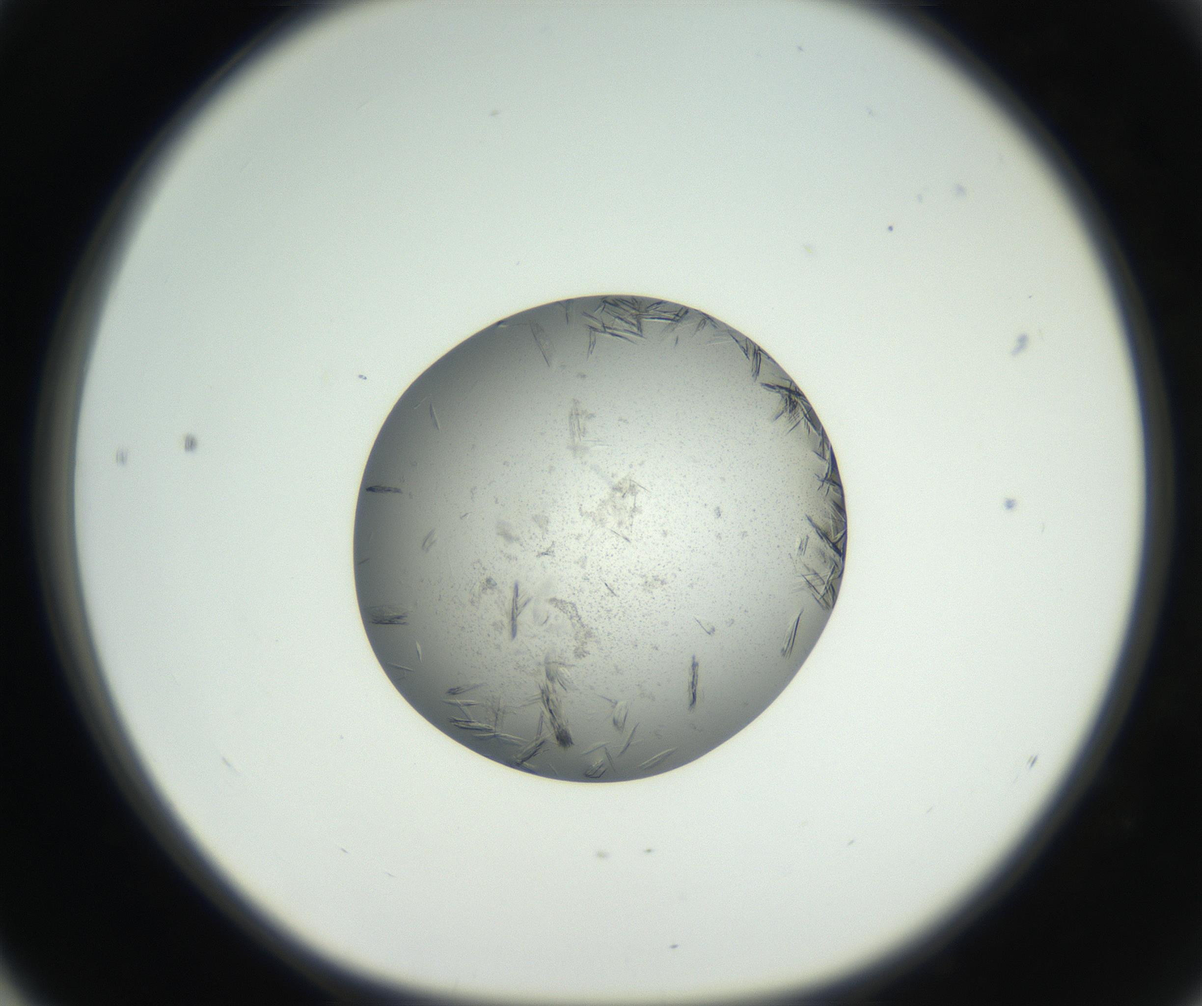 RI01_03_000_0212_Proj1_Clon1_MC_0000MC102653_007_160830_04_05_01_00_99_002_001_RAI.jpg