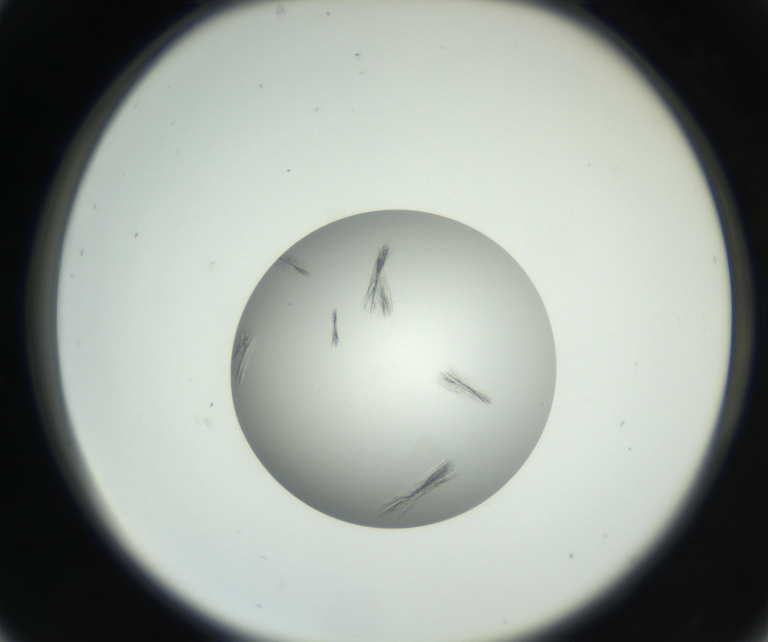 RI01_03_000_0212_Proj1_Clon1_MC_0000MC102653_007_160830_05_03_02_00_99_002_001_RAI.jpg