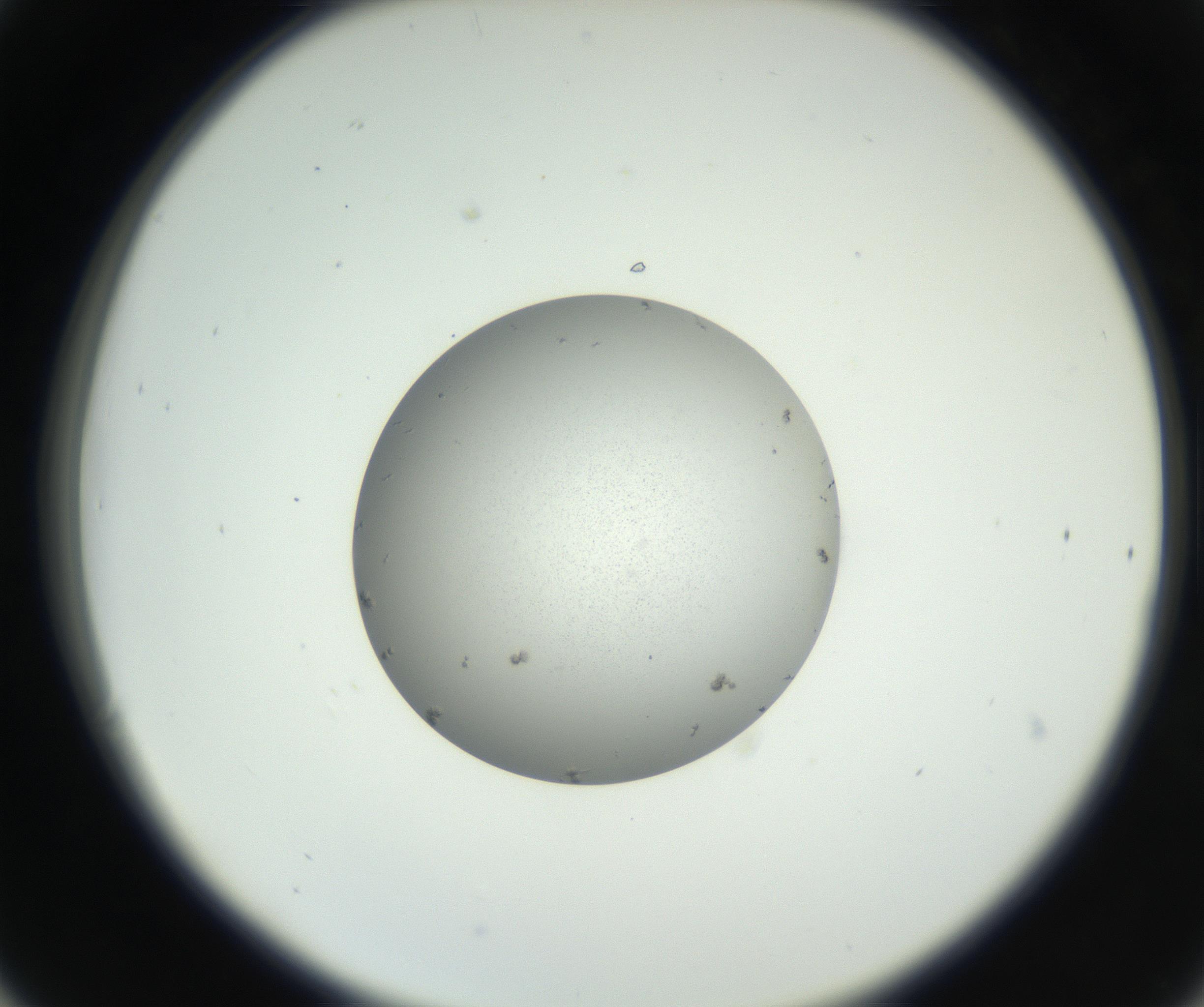 RI01_03_000_0212_Proj1_Clon1_MC_0000MC102653_007_160830_06_03_02_00_99_002_001_RAI.jpg