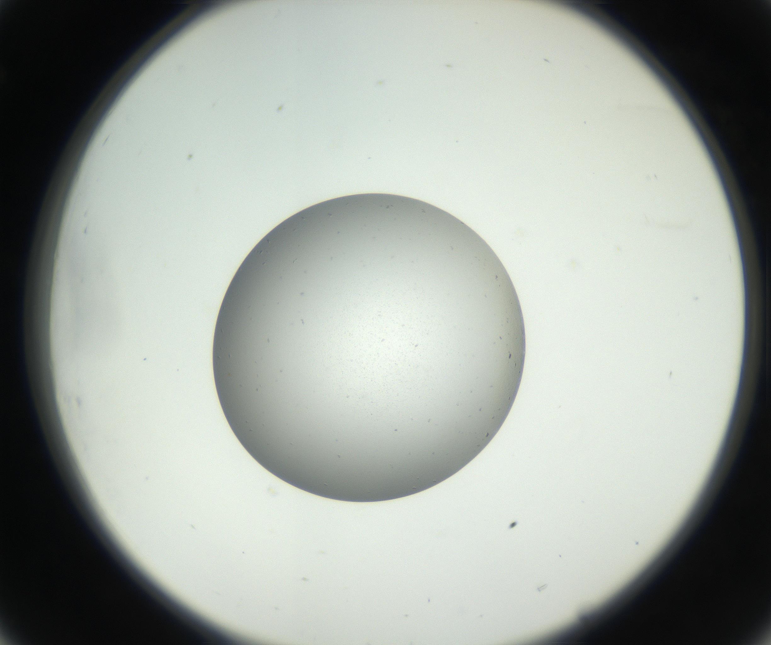 RI01_03_000_0212_Proj1_Clon1_MC_0000MC102653_007_160830_08_03_02_00_99_002_001_RAI.jpg