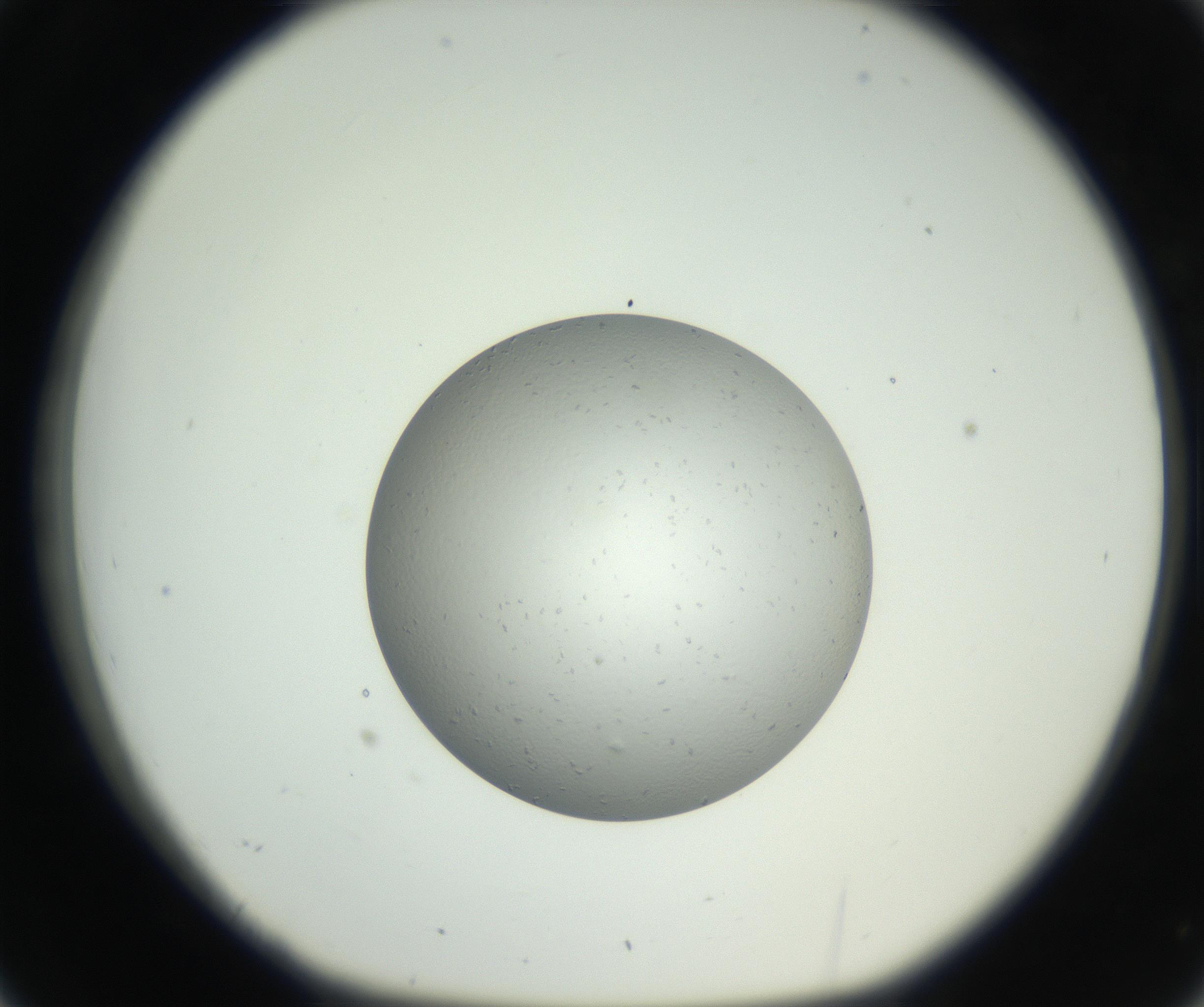 RI01_03_000_0212_Proj1_Clon1_MC_0000MC102654_007_160830_02_03_01_00_99_002_001_RAI.jpg