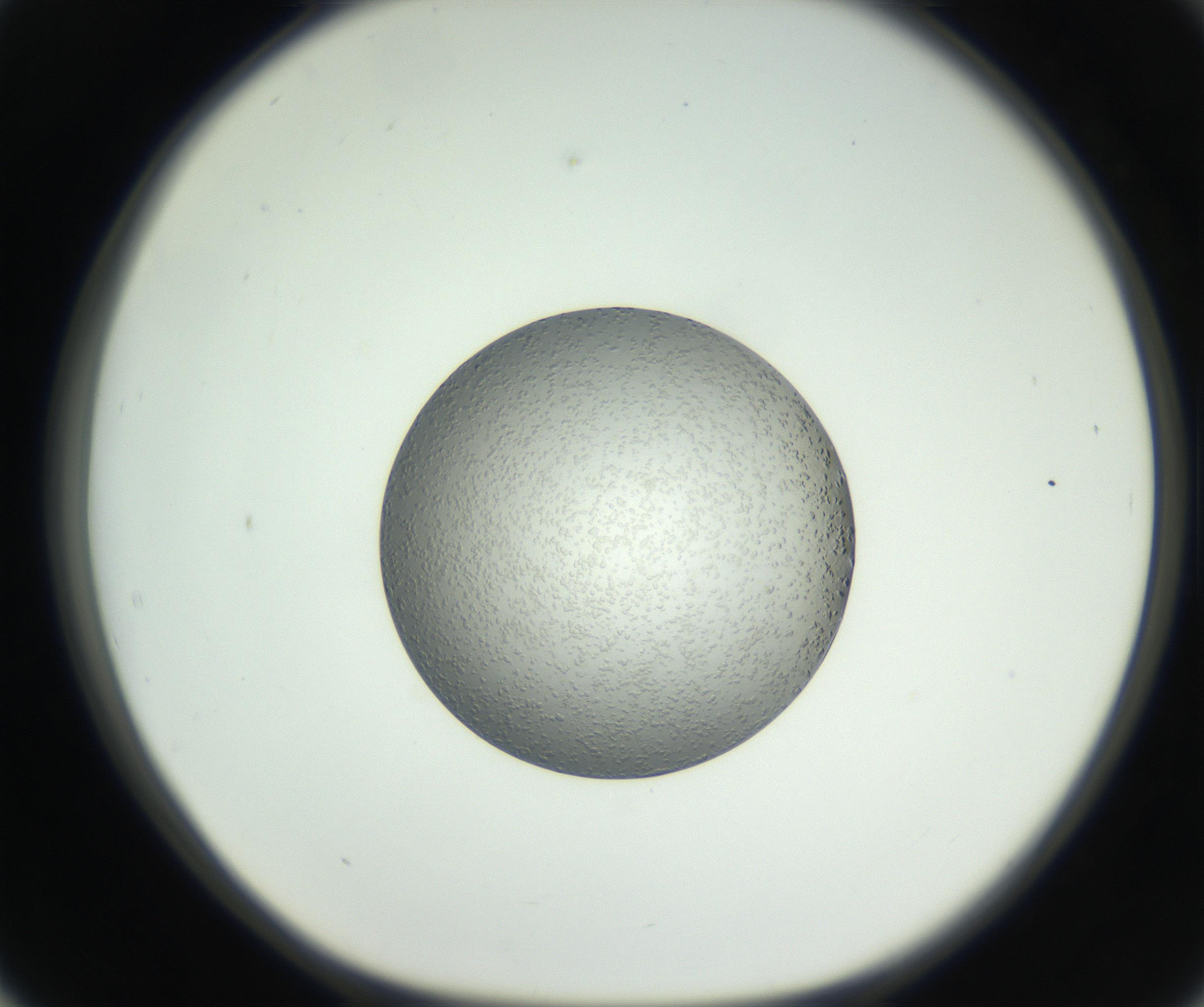 RI01_03_000_0212_Proj1_Clon1_MC_0000MC102654_007_160830_02_05_01_00_99_002_001_RAI.jpg