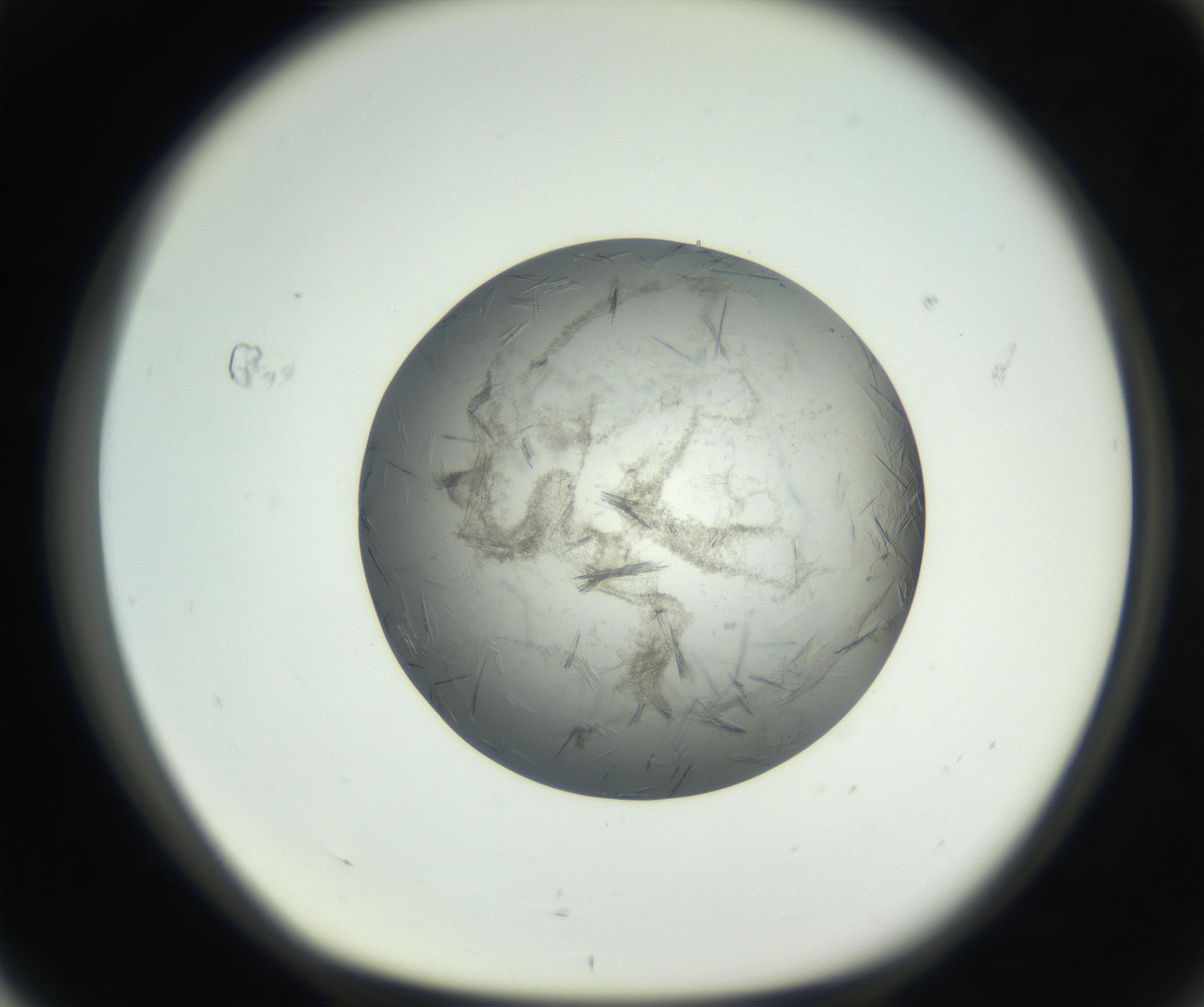 RI01_03_000_0212_Proj1_Clon1_MC_0000MC102654_007_160830_04_07_01_00_99_002_001_RAI.jpg