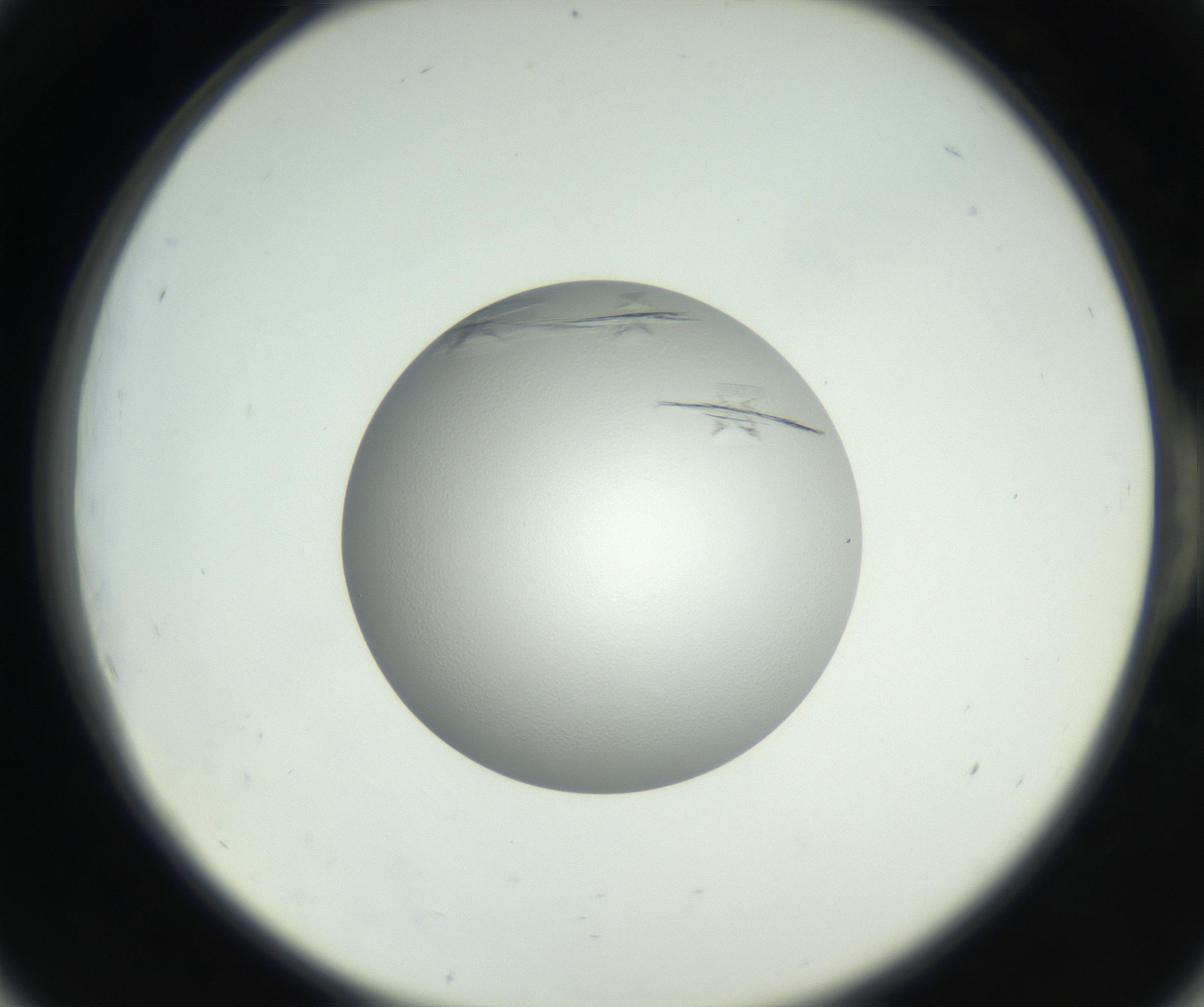 RI01_03_000_0212_Proj1_Clon1_MC_0000MC102654_007_160830_06_05_02_00_99_002_001_RAI.jpg
