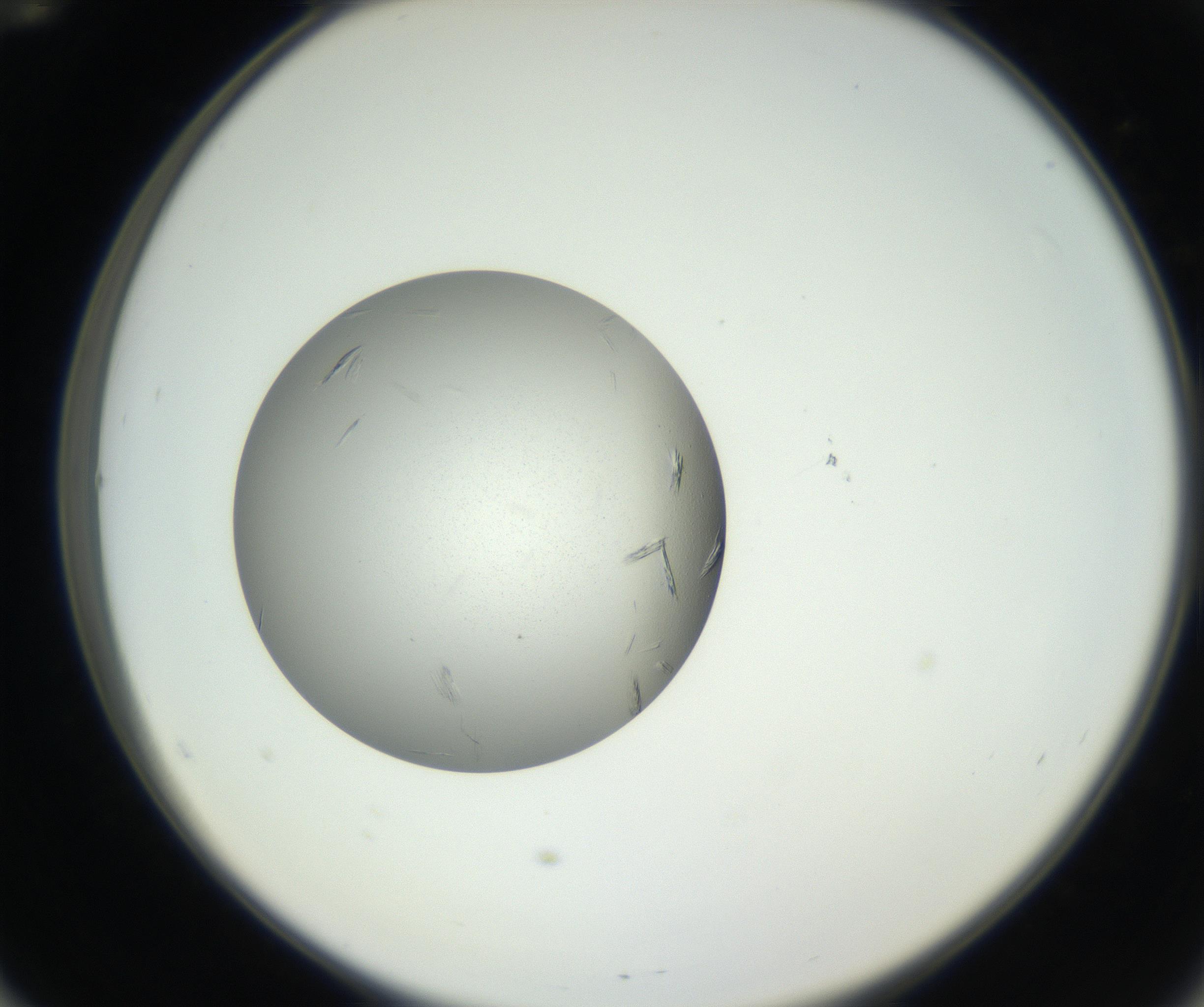 RI01_03_000_0212_Proj1_Clon1_MC_0000MC102654_007_160830_12_05_02_00_99_002_001_RAI.jpg