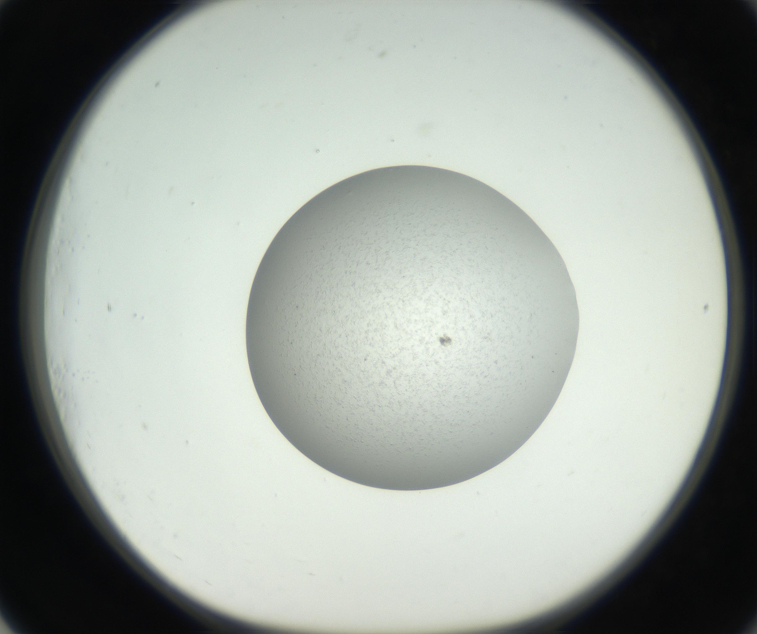 RI01_03_000_0212_Proj1_Clon1_MC_0000MC102655_007_160830_01_07_01_00_99_002_001_RAI.jpg