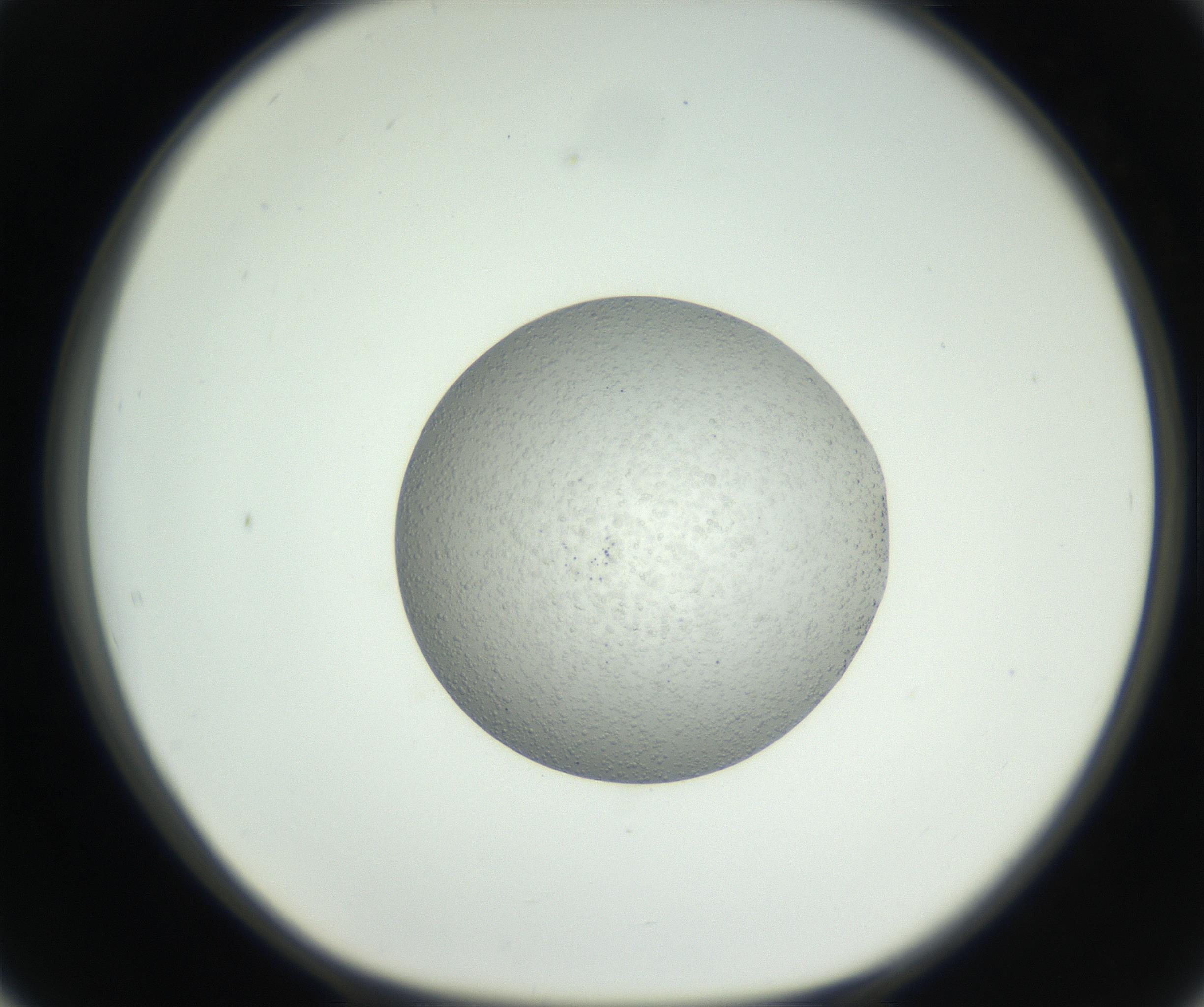 RI01_03_000_0212_Proj1_Clon1_MC_0000MC102656_007_160830_02_05_01_00_99_002_001_RAI.jpg