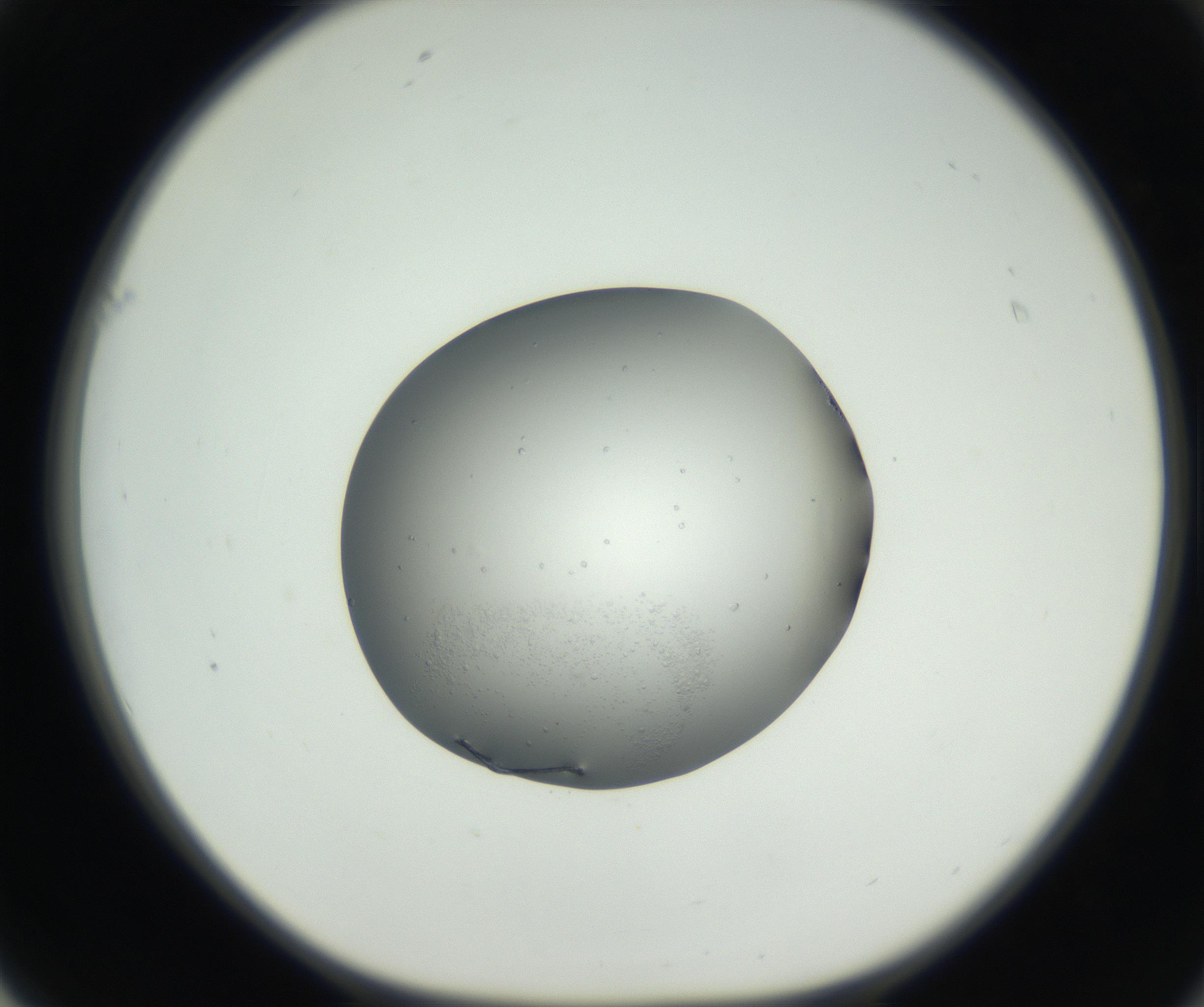 RI01_03_000_0212_Proj1_Clon1_MC_0000MC102659_002_160818_01_06_01_00_99_002_001_RAI.jpg