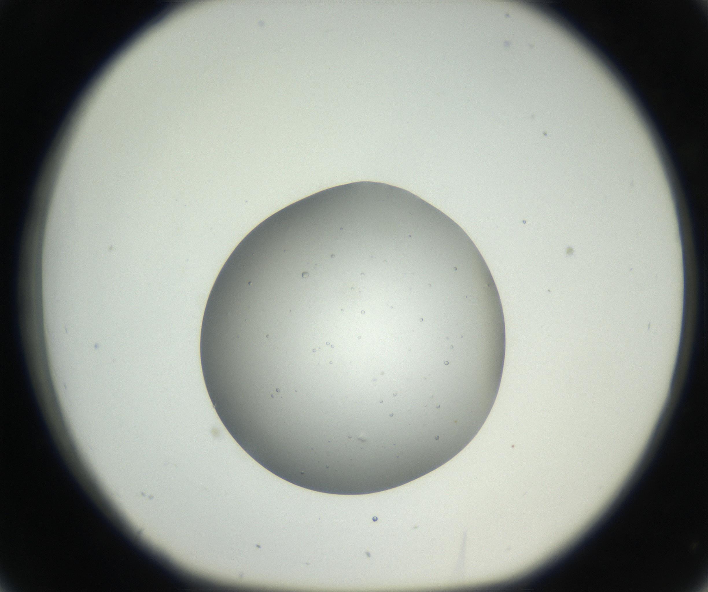 RI01_03_000_0212_Proj1_Clon1_MC_0000MC102659_002_160818_02_03_01_00_99_002_001_RAI.jpg