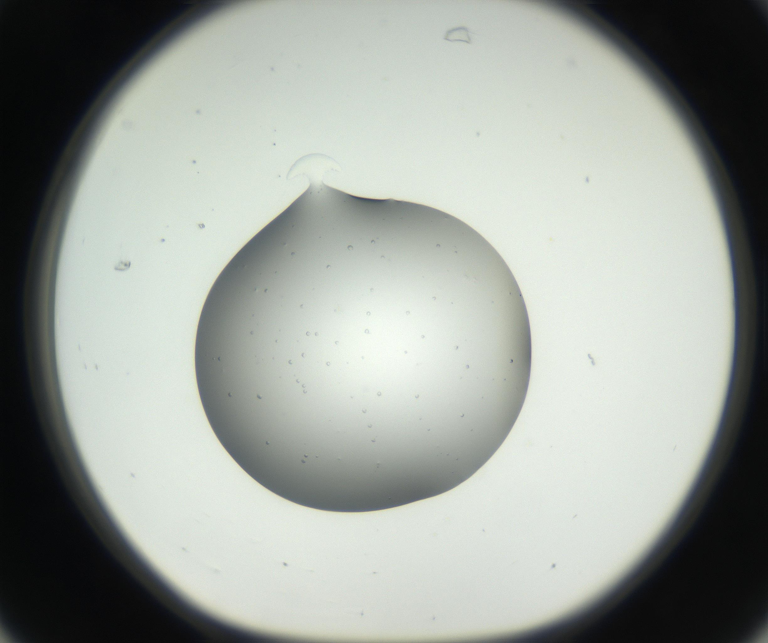 RI01_03_000_0212_Proj1_Clon1_MC_0000MC102659_002_160818_07_03_01_00_99_002_001_RAI.jpg