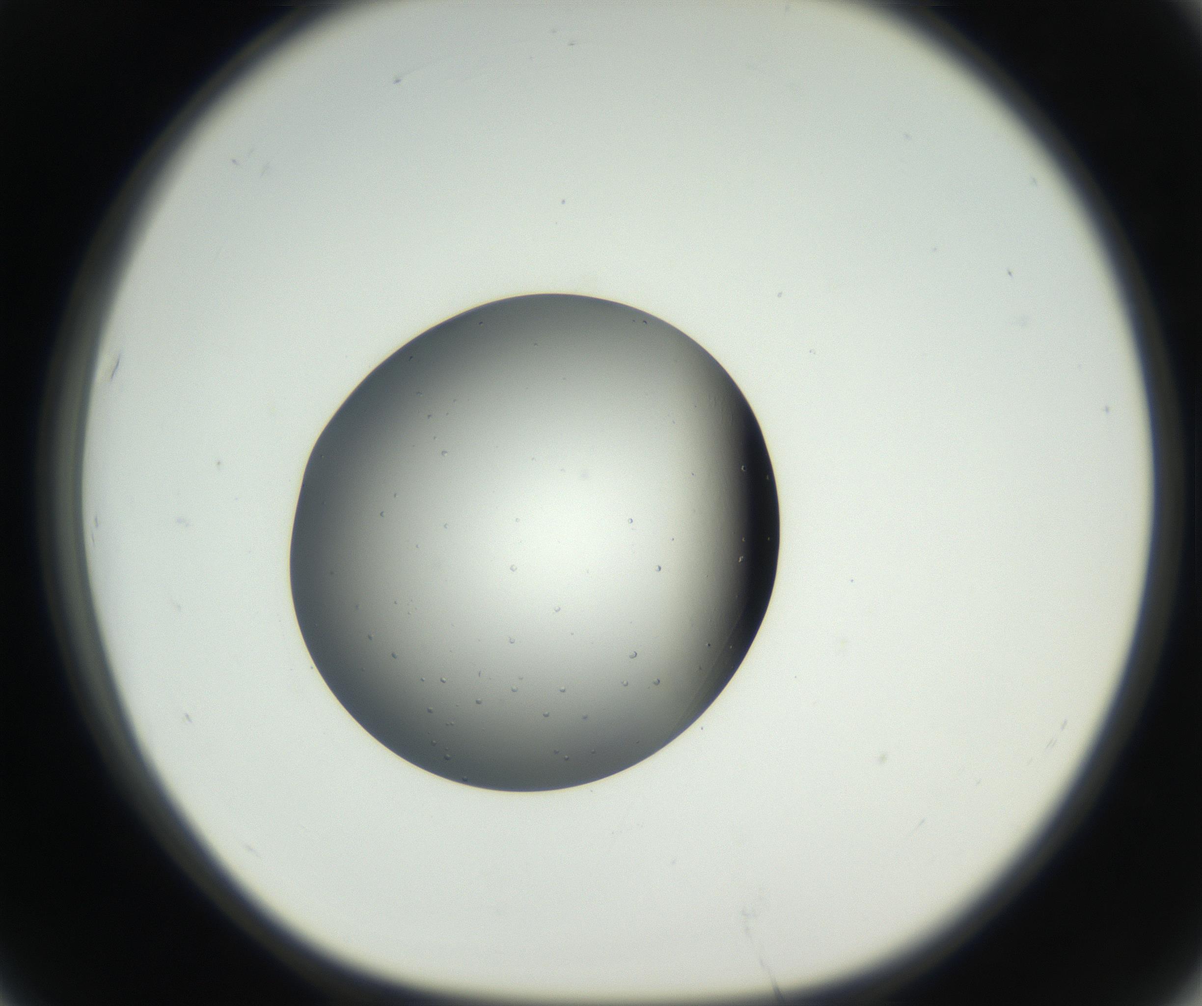 RI01_03_000_0212_Proj1_Clon1_MC_0000MC102659_002_160818_07_06_01_00_99_002_001_RAI.jpg