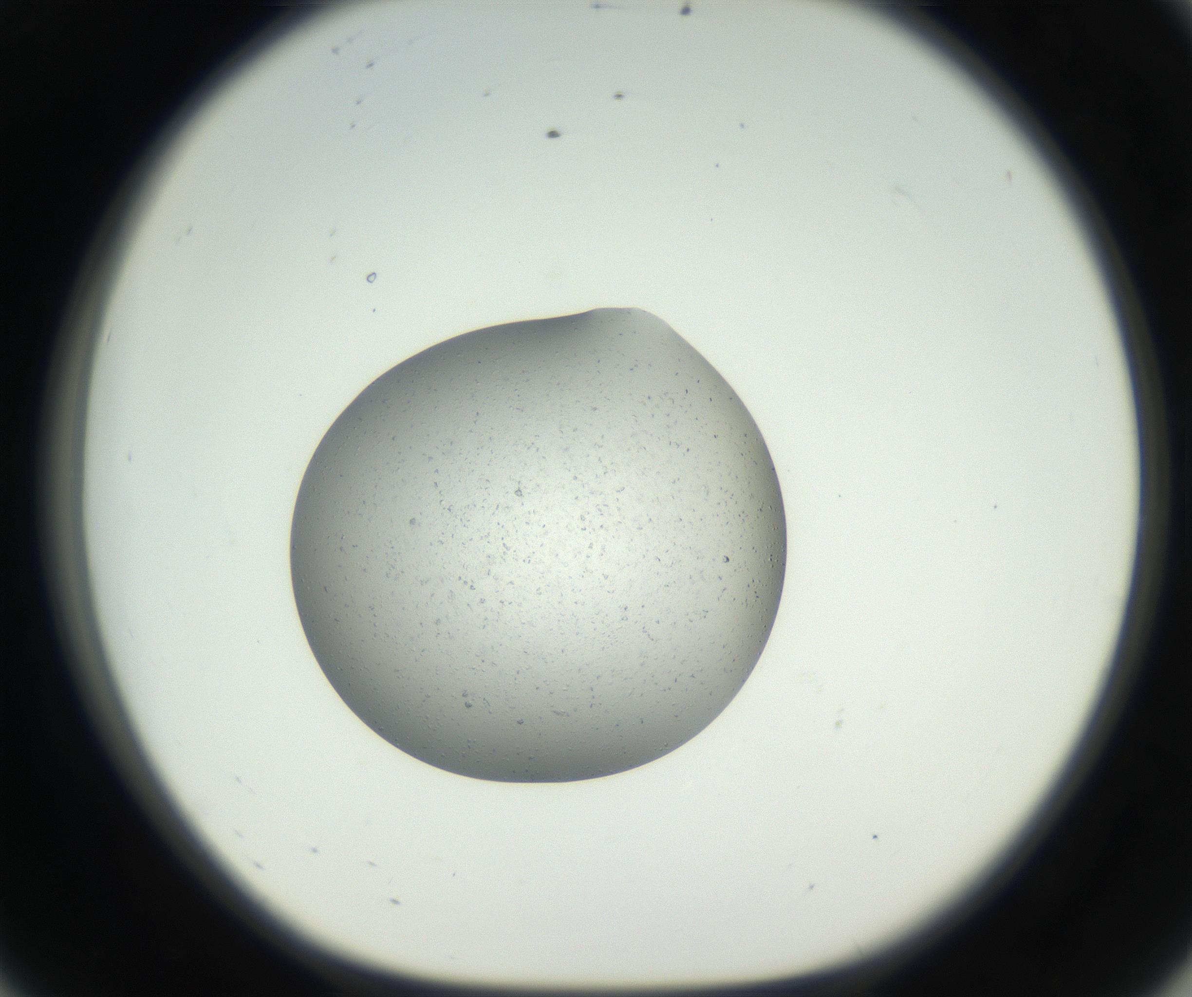 RI01_03_000_0212_Proj1_Clon1_MC_0000MC102659_002_160818_08_05_01_00_99_002_001_RAI.jpg