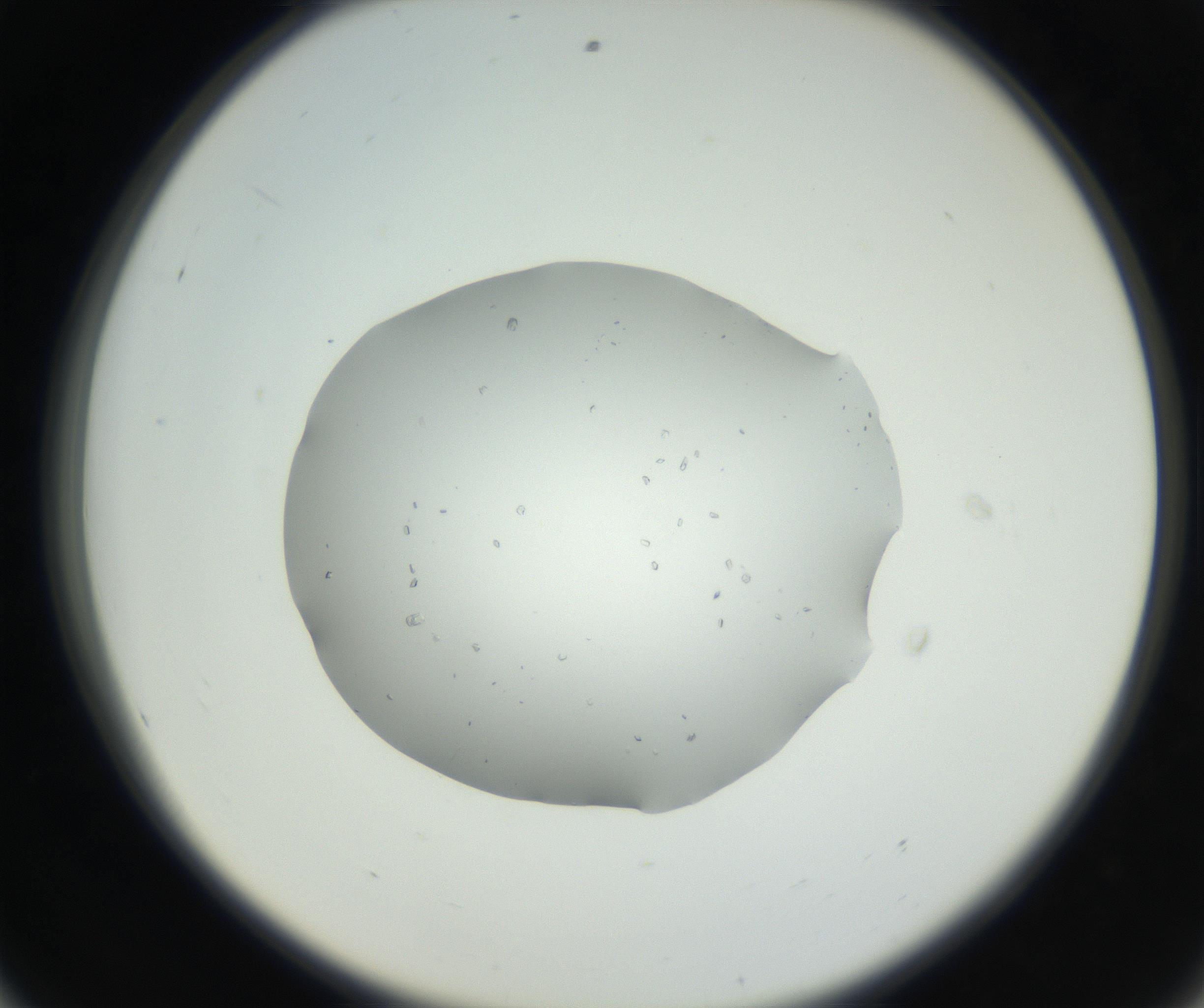 RI01_03_000_0212_Proj1_Clon1_MC_0000MC102659_002_160818_08_05_02_00_99_002_001_RAI.jpg