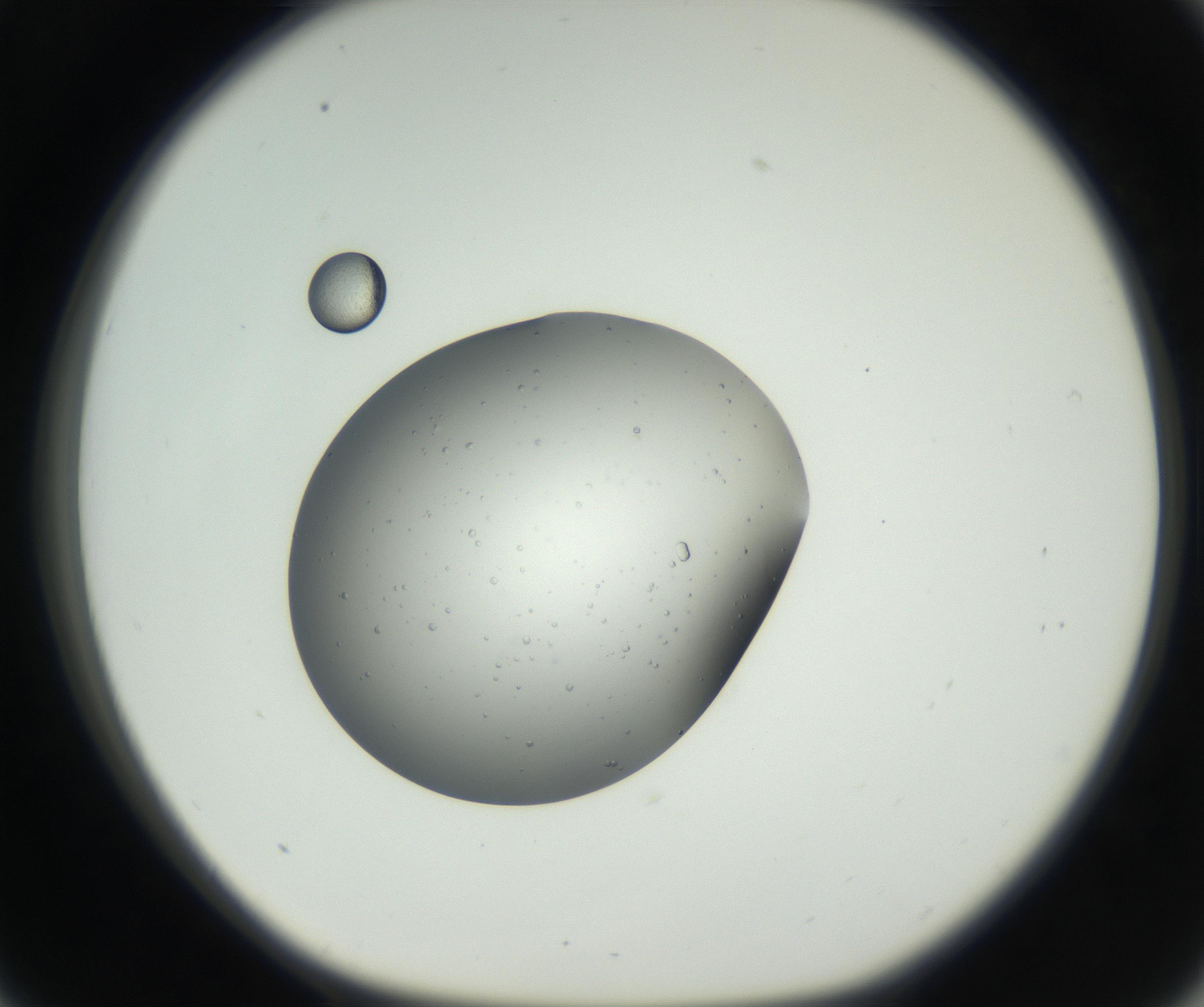 RI01_03_000_0212_Proj1_Clon1_MC_0000MC102659_002_160818_09_03_01_00_99_002_001_RAI.jpg