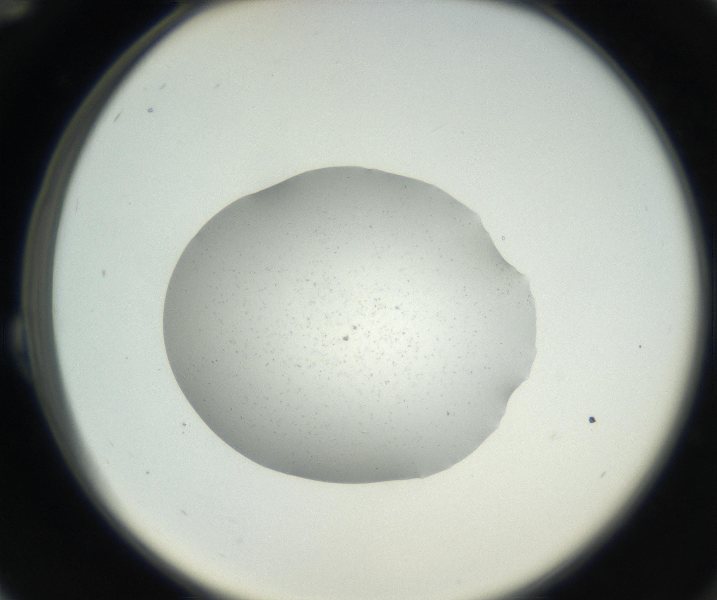 RI01_03_000_0212_Proj1_Clon1_MC_0000MC102659_002_160818_12_02_02_00_99_002_001_RAI.jpg