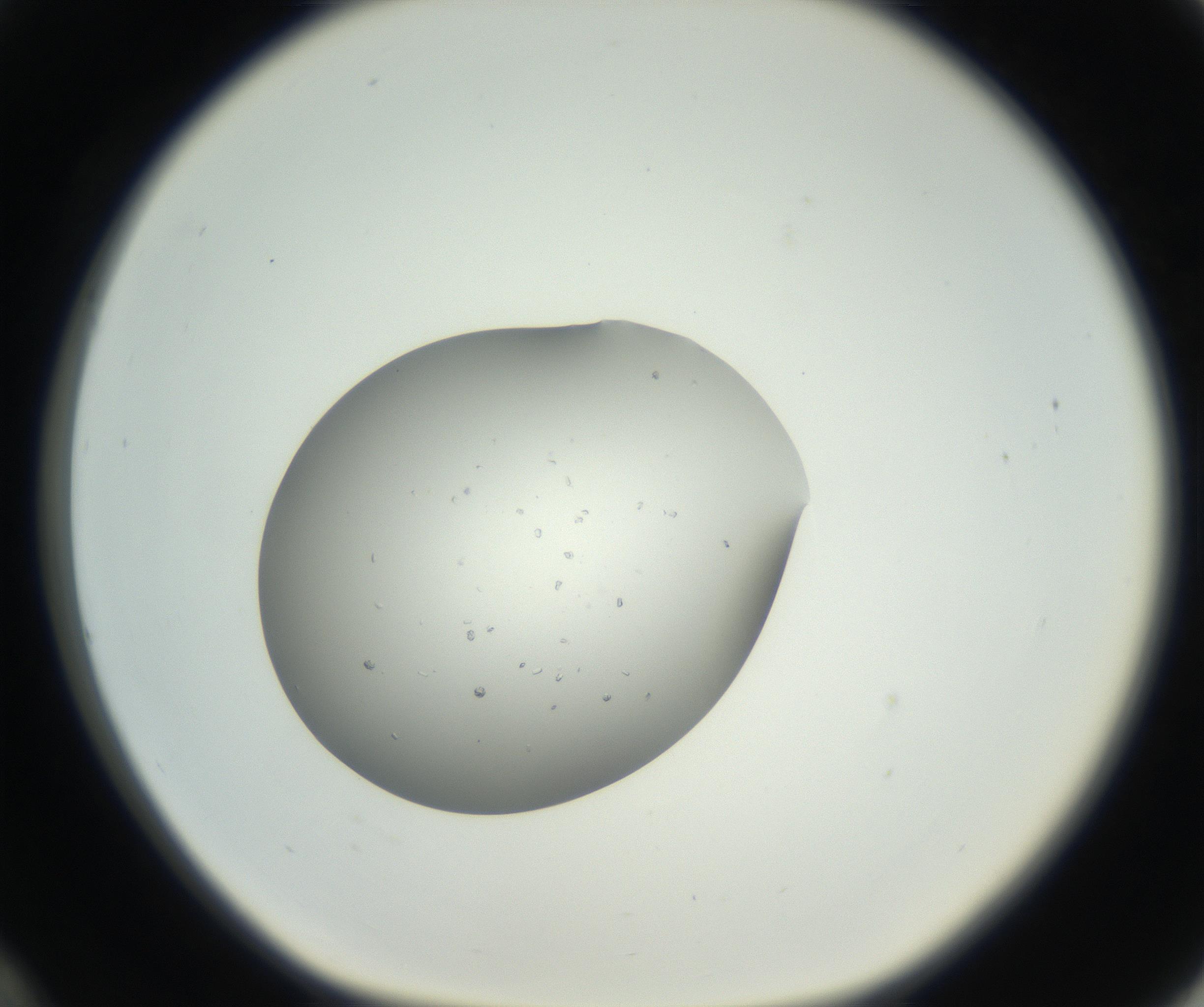 RI01_03_000_0212_Proj1_Clon1_MC_0000MC102659_002_160818_12_03_01_00_99_002_001_RAI.jpg