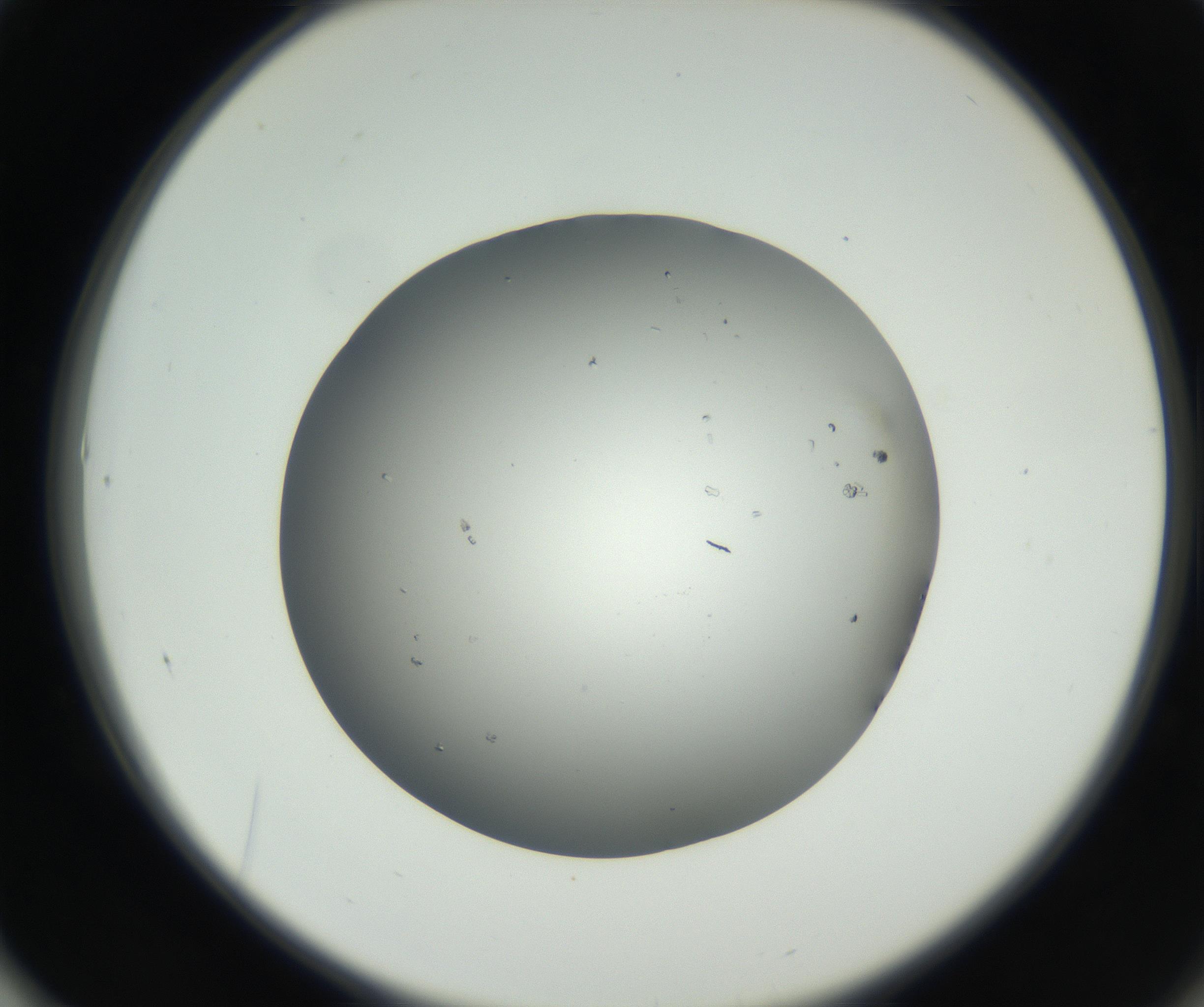 RI01_03_000_0212_Proj1_Clon1_MC_0000MC102659_003_160820_01_06_02_00_99_002_001_RAI.jpg