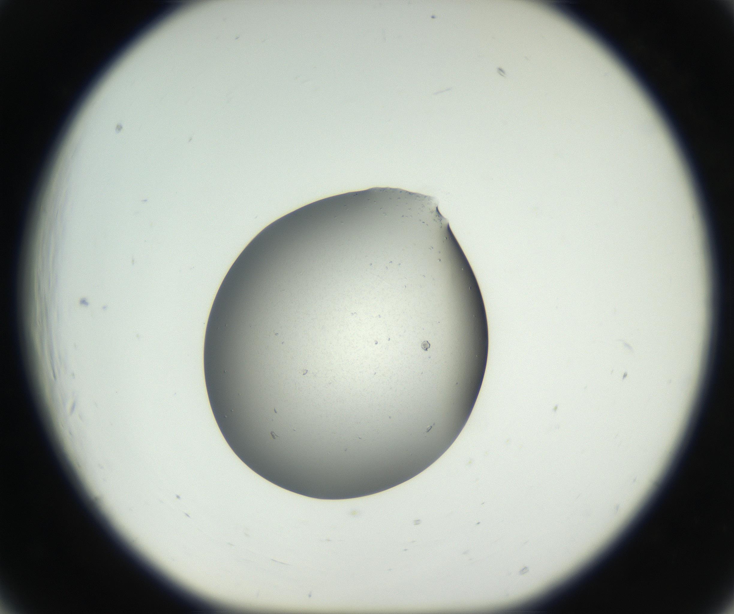 RI01_03_000_0212_Proj1_Clon1_MC_0000MC102659_003_160820_06_02_01_00_99_002_001_RAI.jpg