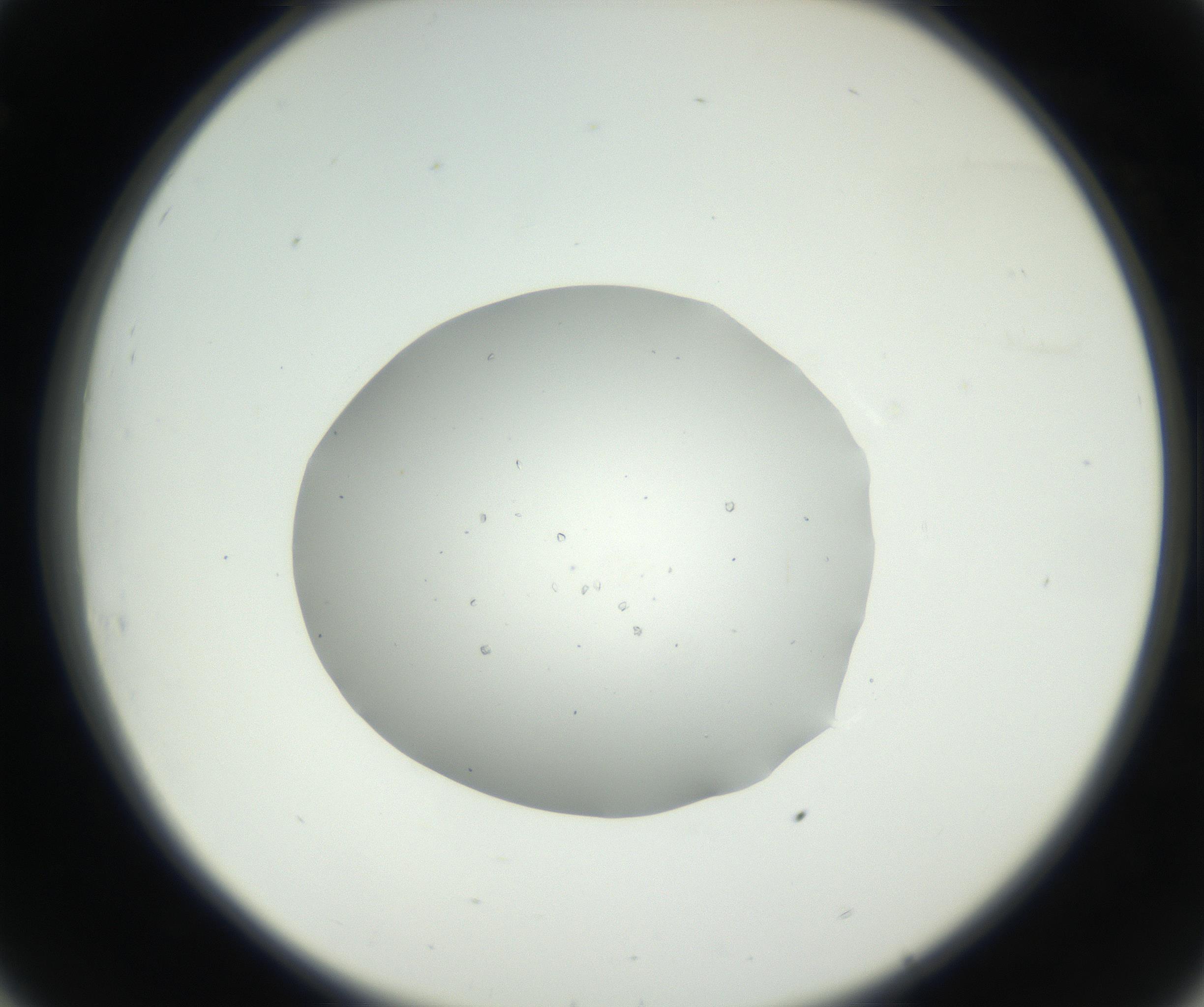 RI01_03_000_0212_Proj1_Clon1_MC_0000MC102659_003_160820_08_03_02_00_99_002_001_RAI.jpg