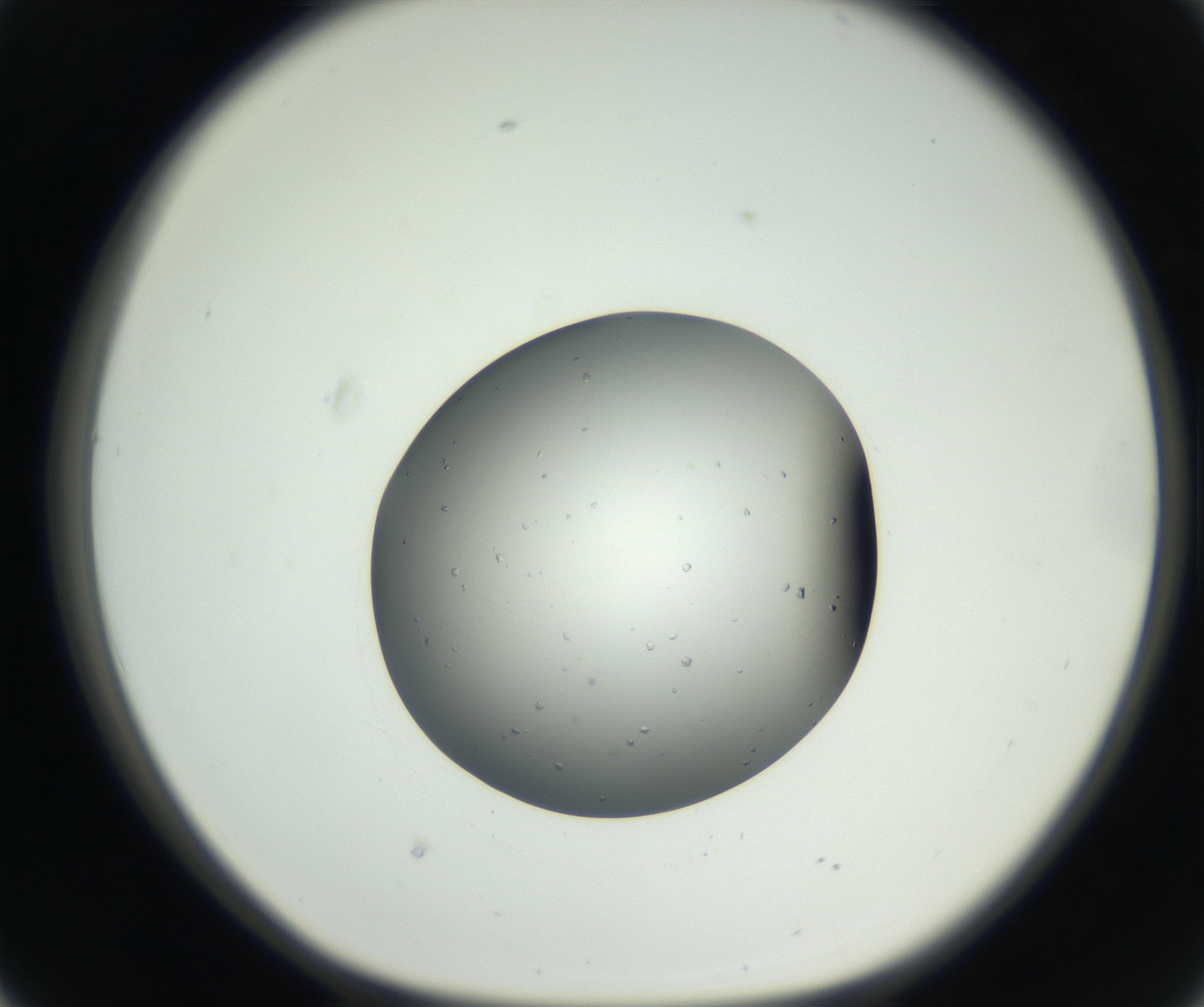 RI01_03_000_0212_Proj1_Clon1_MC_0000MC102659_004_160822_02_04_01_00_99_002_001_RAI.jpg