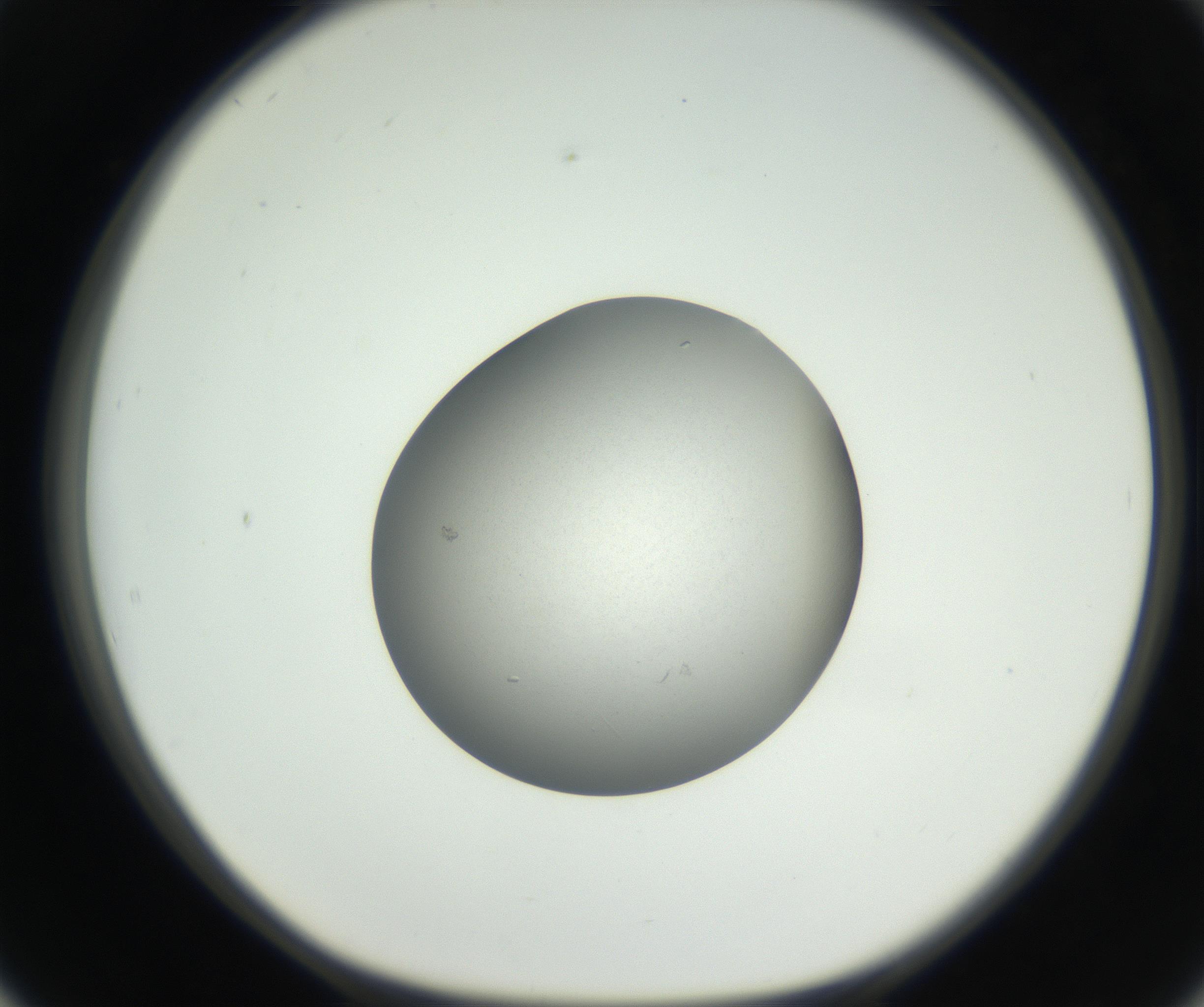 RI01_03_000_0212_Proj1_Clon1_MC_0000MC102659_004_160822_02_05_01_00_99_002_001_RAI.jpg
