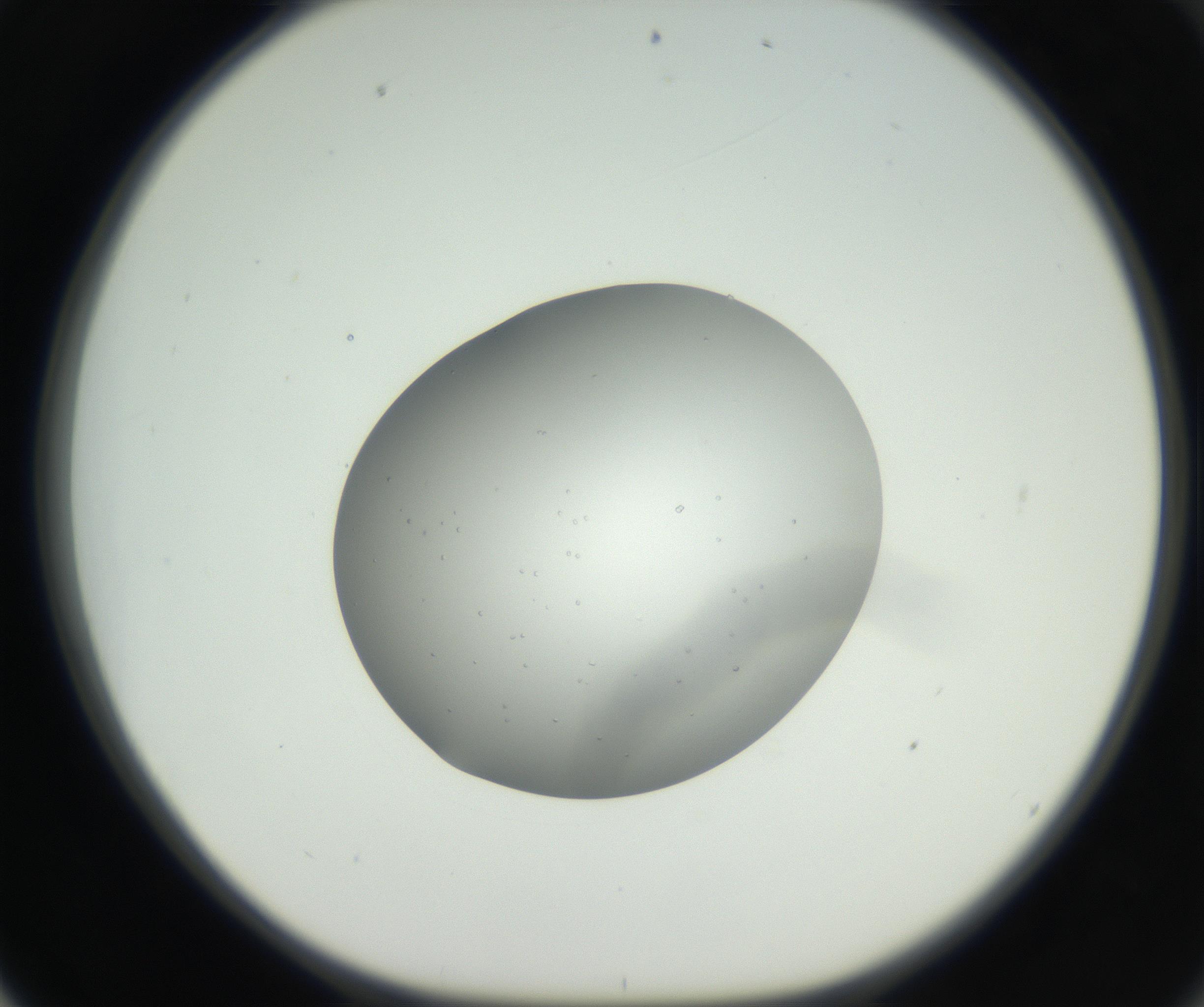 RI01_03_000_0212_Proj1_Clon1_MC_0000MC102659_004_160822_02_06_01_00_99_002_001_RAI.jpg