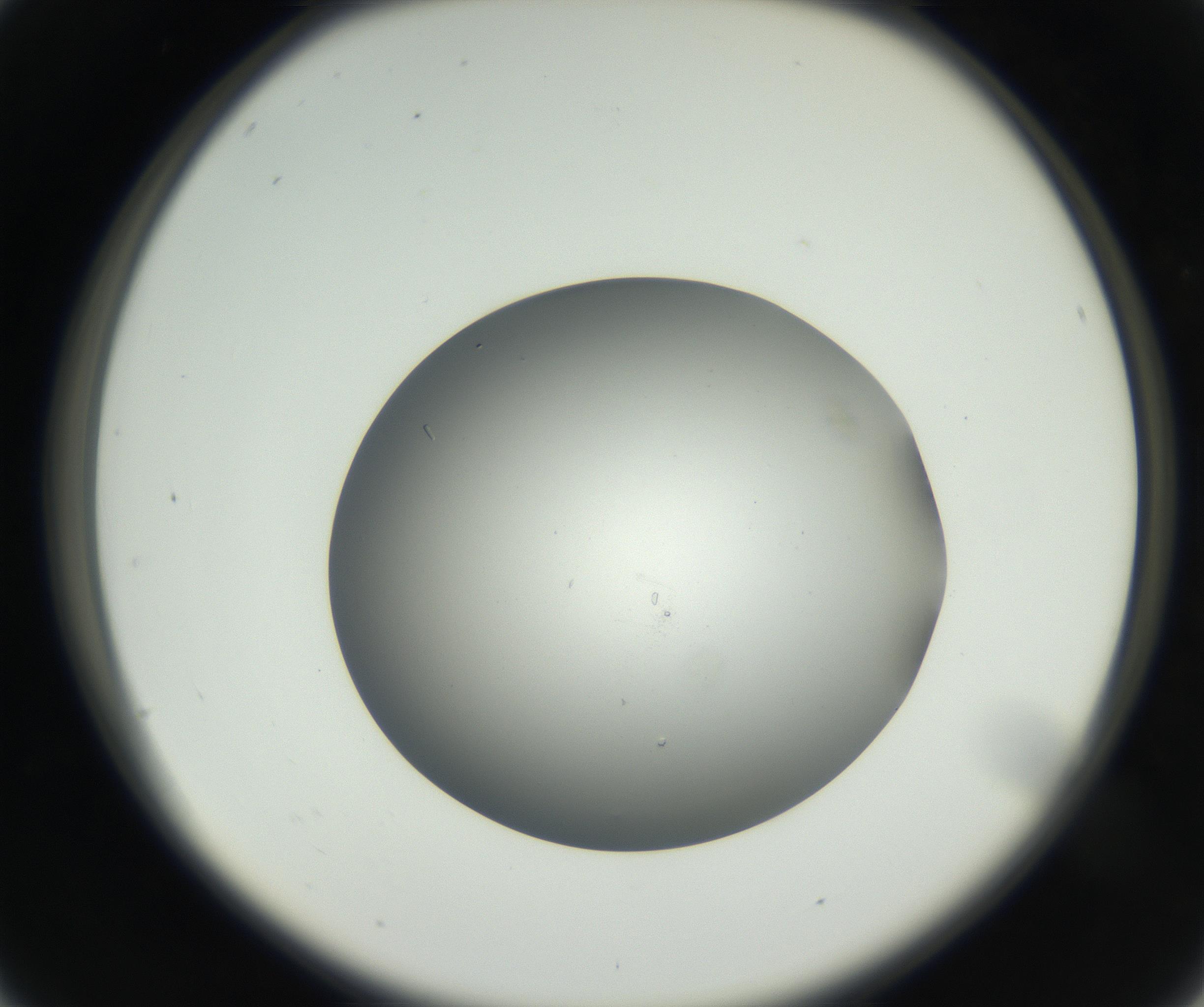 RI01_03_000_0212_Proj1_Clon1_MC_0000MC102659_004_160822_04_02_02_00_99_002_001_RAI.jpg
