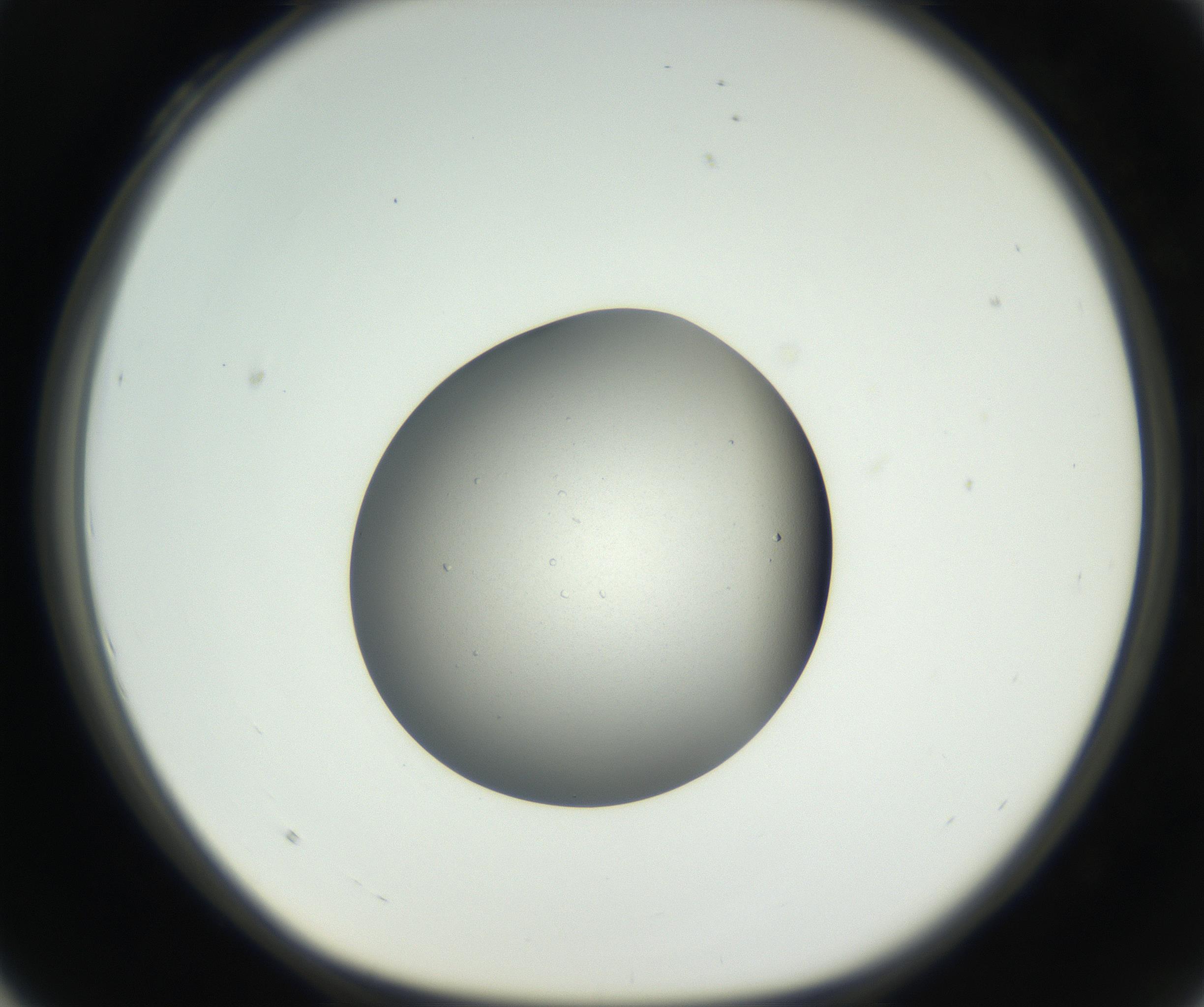 RI01_03_000_0212_Proj1_Clon1_MC_0000MC102659_004_160822_04_03_01_00_99_002_001_RAI.jpg