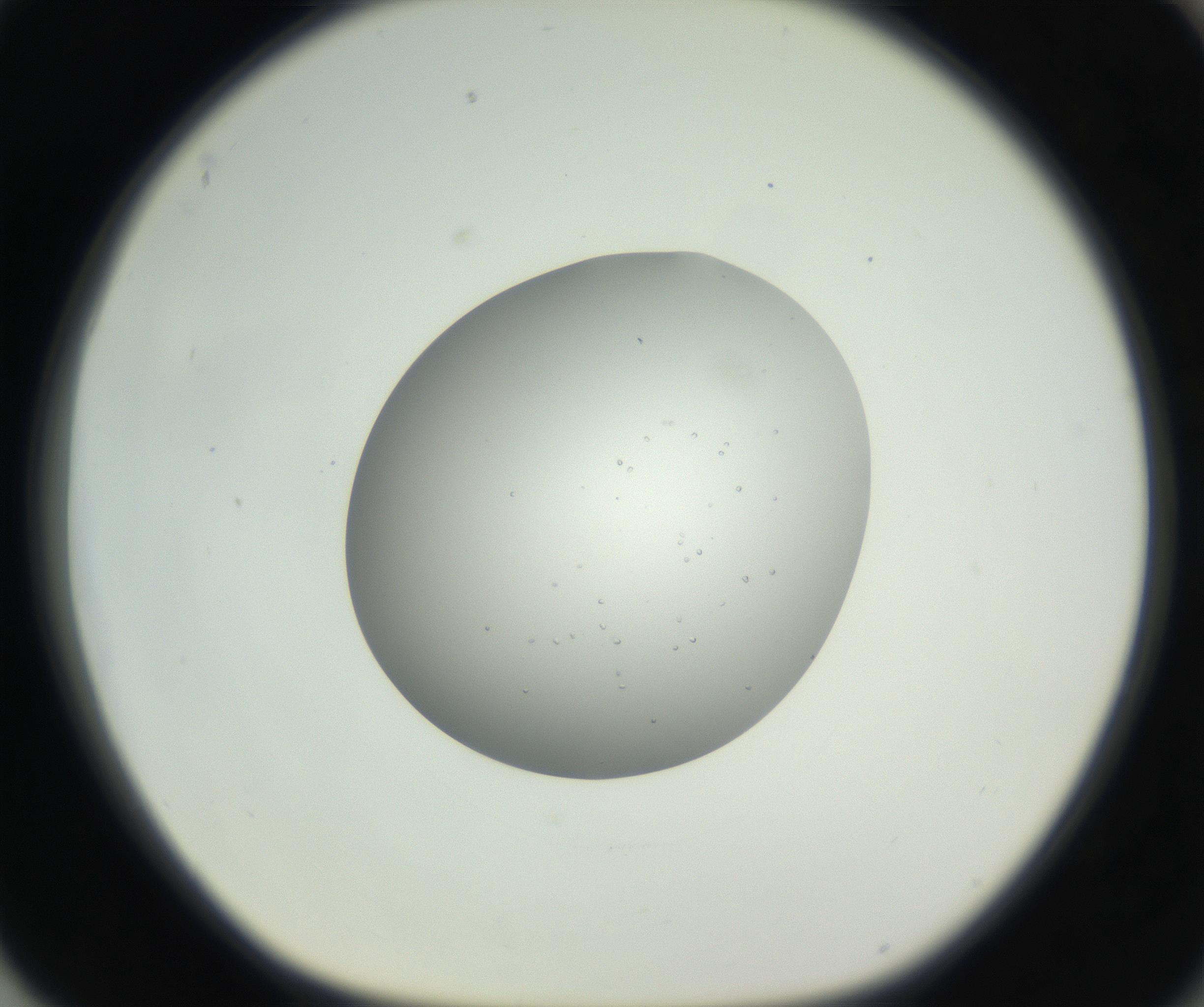RI01_03_000_0212_Proj1_Clon1_MC_0000MC102659_004_160822_04_08_01_00_99_002_001_RAI.jpg