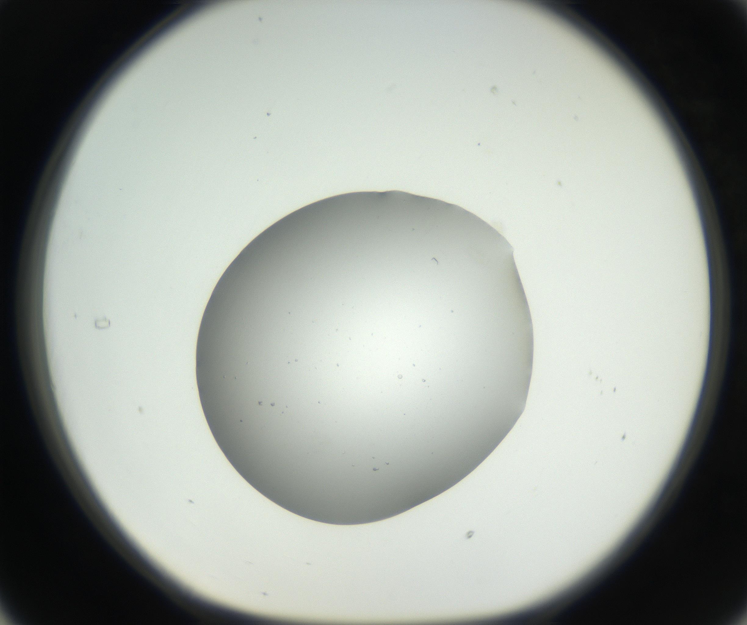 RI01_03_000_0212_Proj1_Clon1_MC_0000MC102659_004_160822_05_03_01_00_99_002_001_RAI.jpg