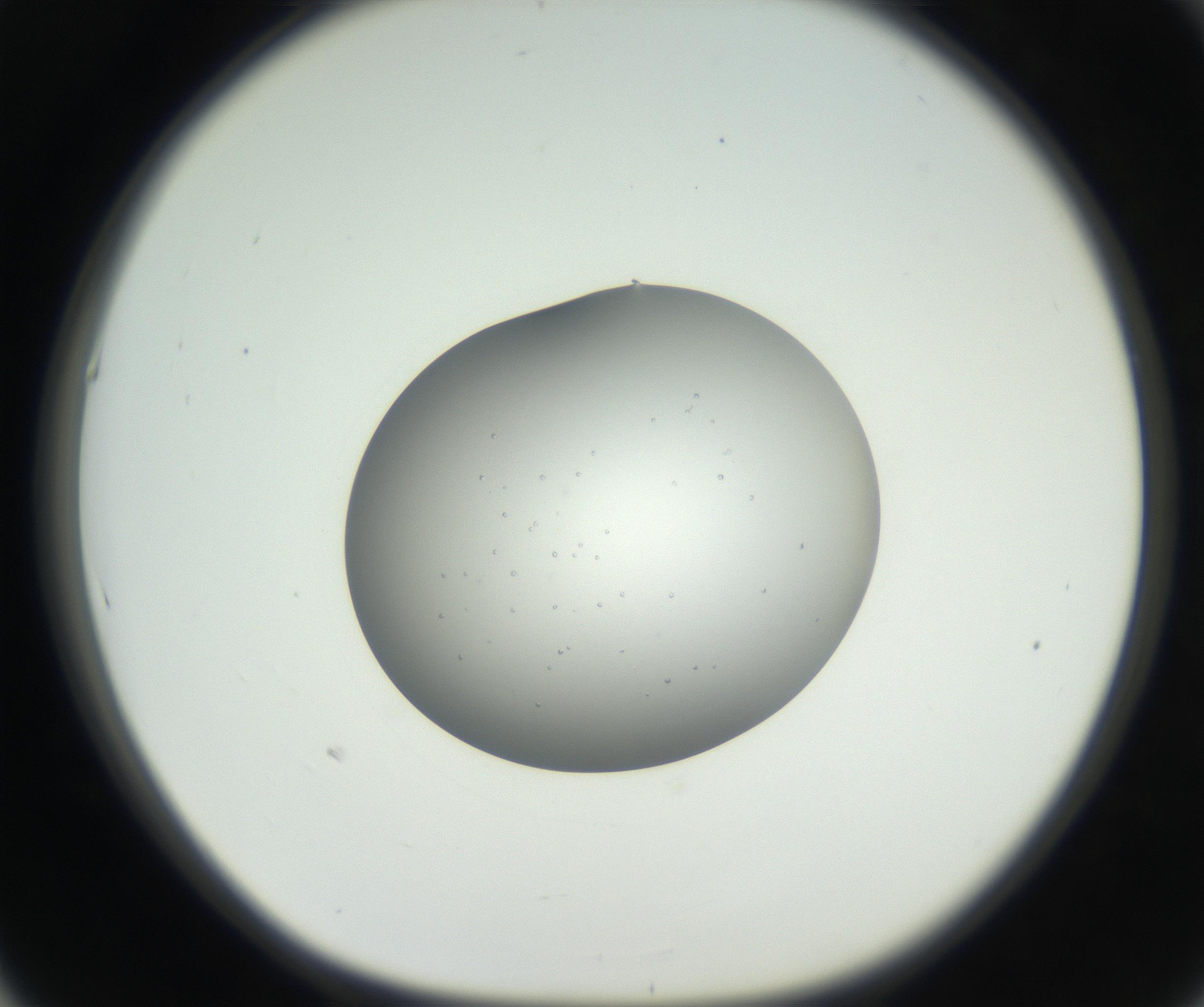 RI01_03_000_0212_Proj1_Clon1_MC_0000MC102659_004_160822_05_05_01_00_99_002_001_RAI.jpg