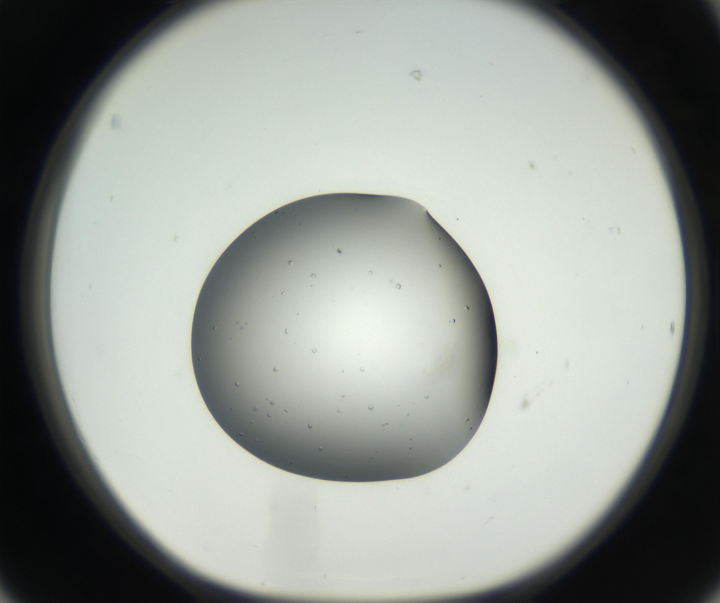 RI01_03_000_0212_Proj1_Clon1_MC_0000MC102659_004_160822_06_04_01_00_99_002_001_RAI.jpg