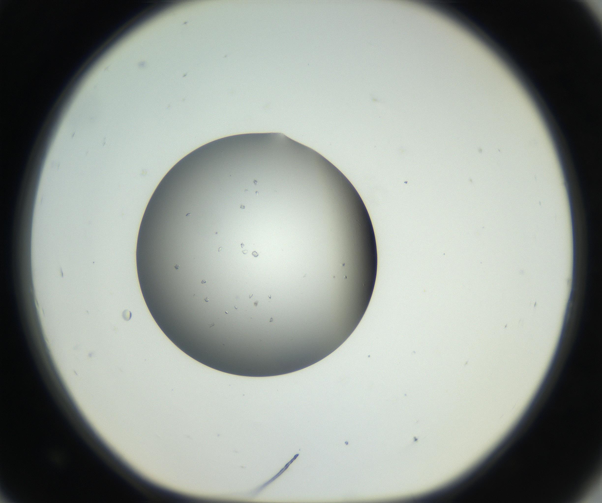 RI01_03_000_0212_Proj1_Clon1_MC_0000MC102659_004_160822_09_08_01_00_99_002_001_RAI.jpg