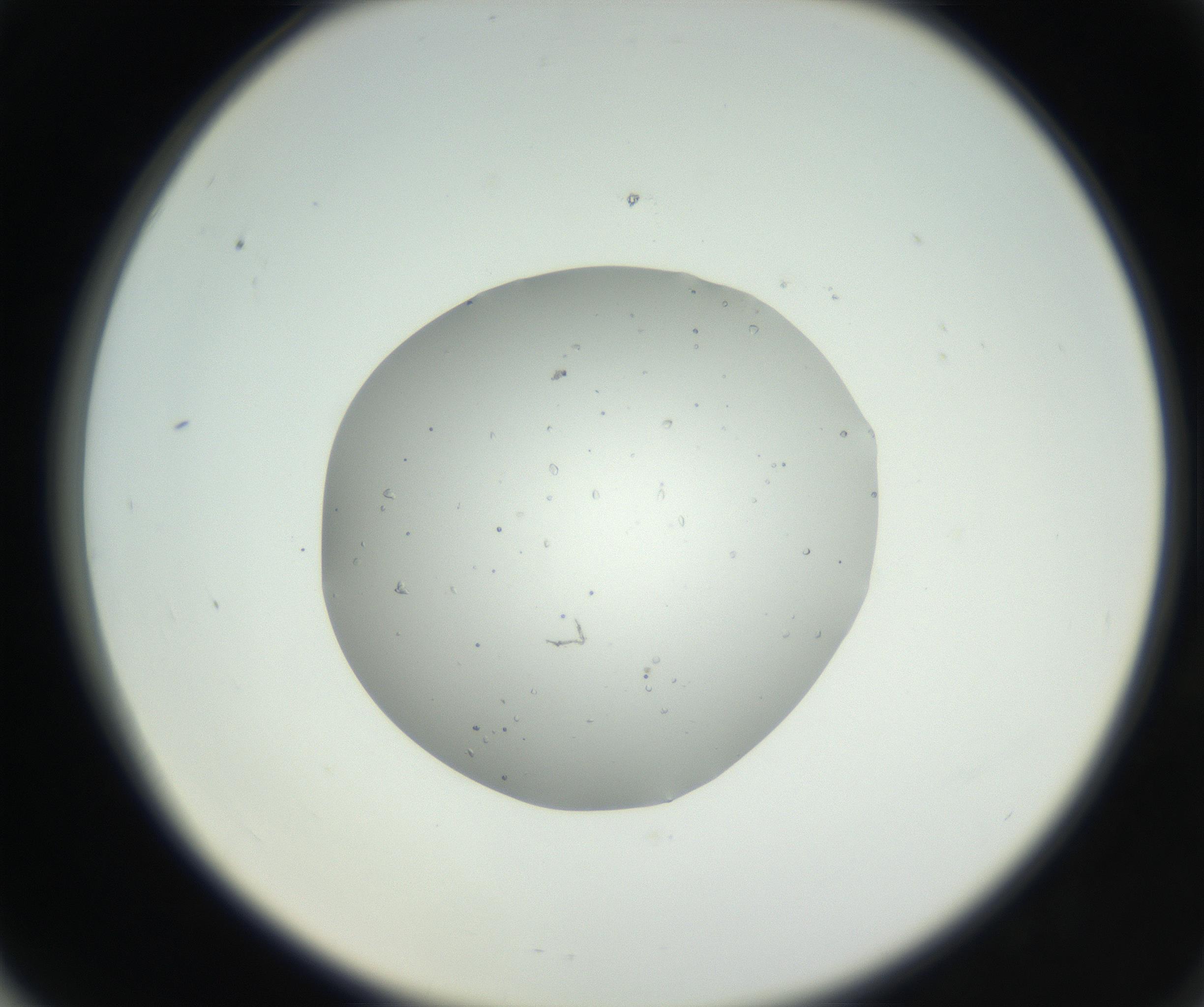 RI01_03_000_0212_Proj1_Clon1_MC_0000MC102659_005_160824_06_06_02_00_99_002_001_RAI.jpg