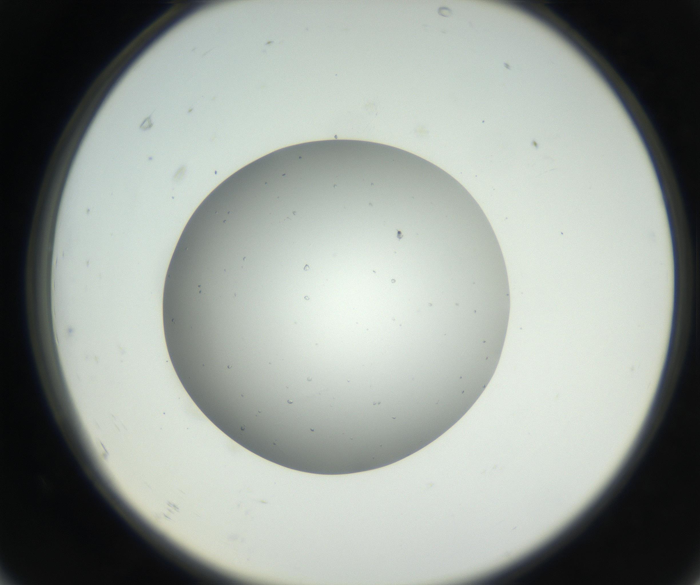 RI01_03_000_0212_Proj1_Clon1_MC_0000MC102659_005_160824_07_06_02_00_99_002_001_RAI.jpg