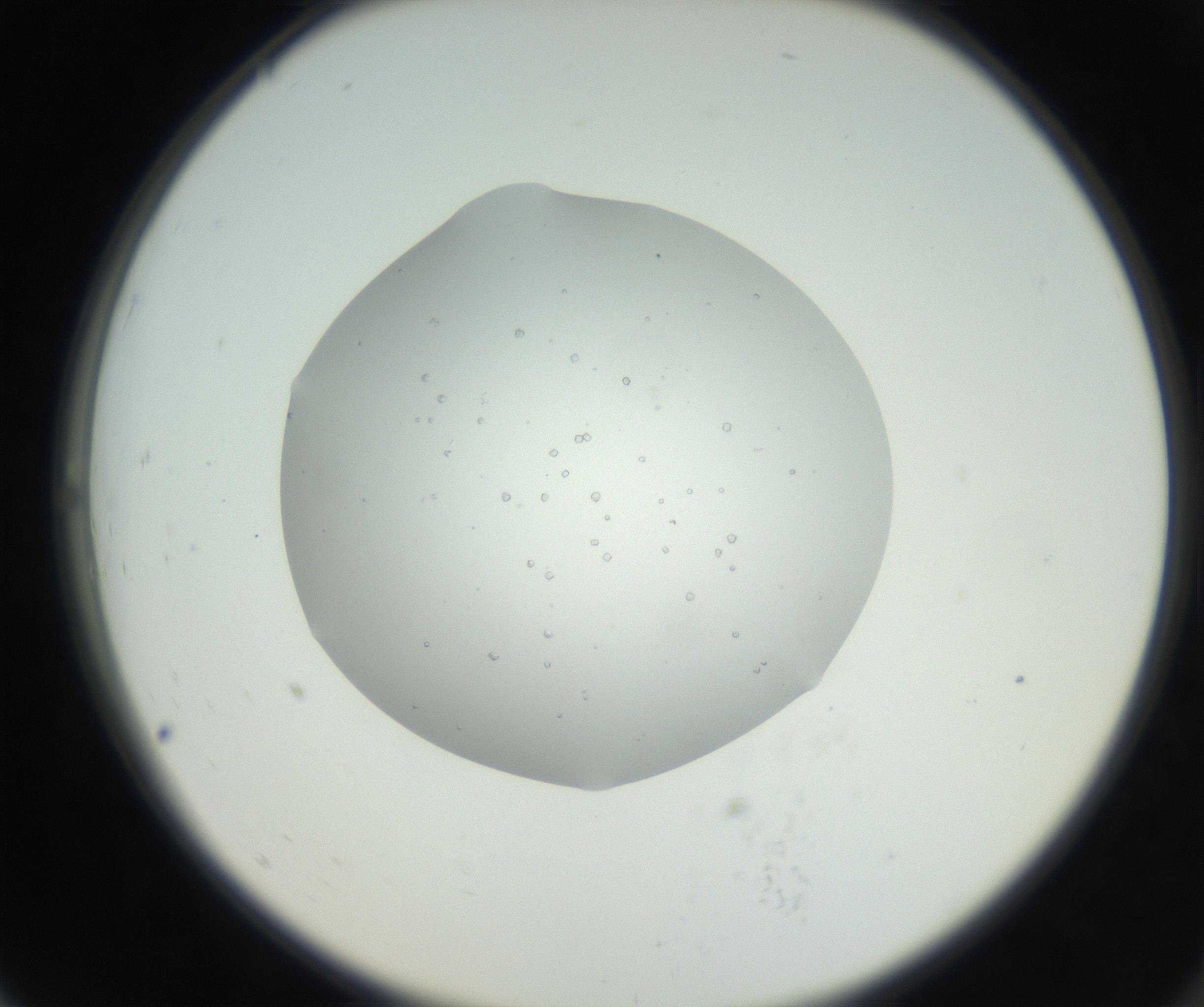 RI01_03_000_0212_Proj1_Clon1_MC_0000MC102659_005_160824_07_07_02_00_99_002_001_RAI.jpg