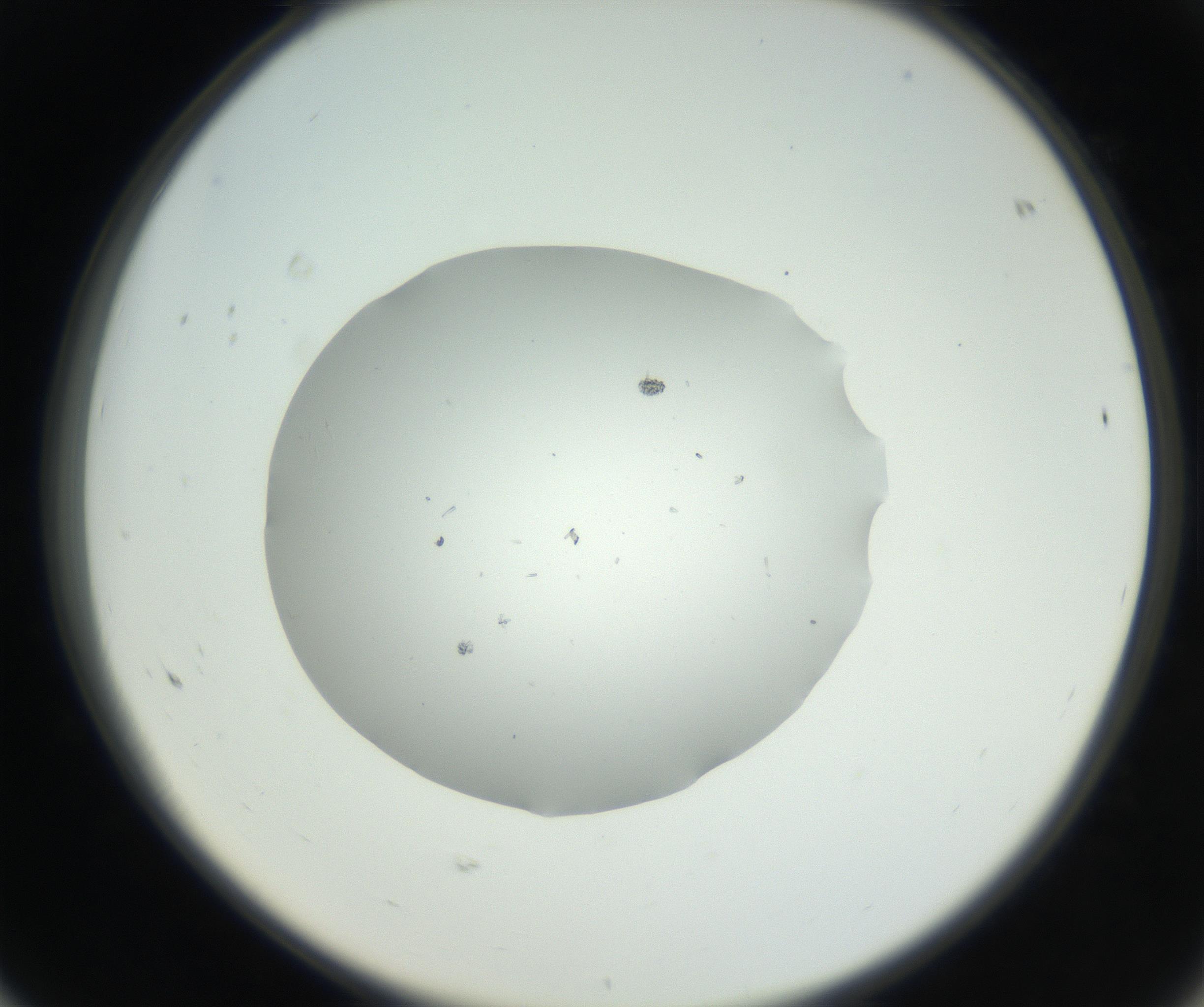 RI01_03_000_0212_Proj1_Clon1_MC_0000MC102659_005_160824_08_06_02_00_99_002_001_RAI.jpg