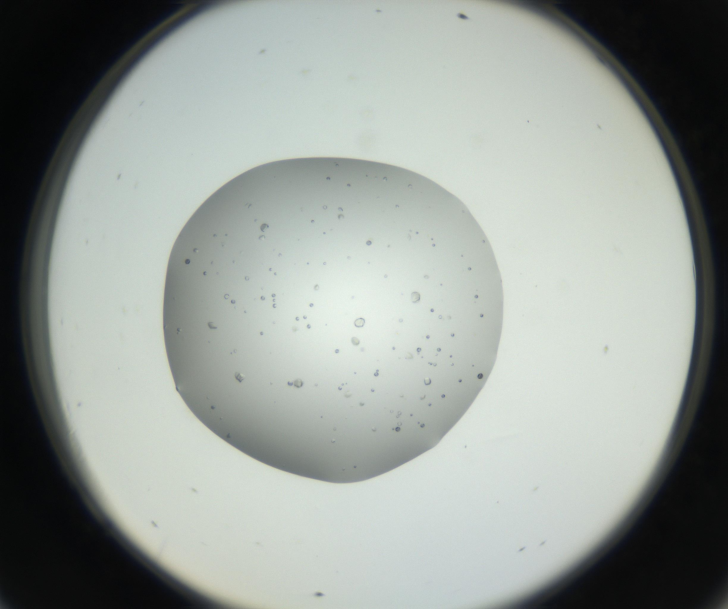 RI01_03_000_0212_Proj1_Clon1_MC_0000MC102659_005_160824_09_06_02_00_99_002_001_RAI.jpg