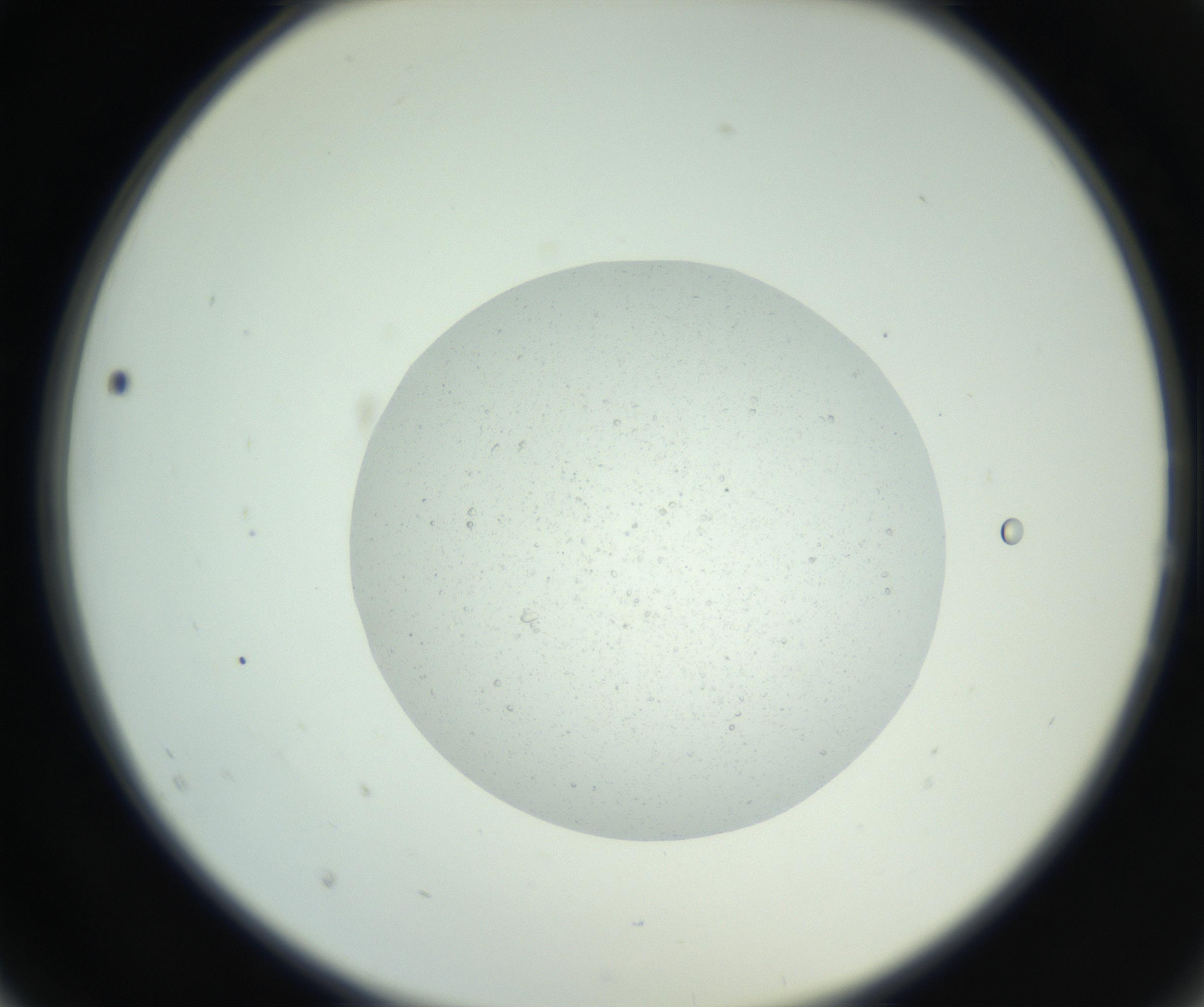 RI01_03_000_0212_Proj1_Clon1_MC_0000MC102659_010_160922_02_02_02_00_99_002_001_RAI.jpg