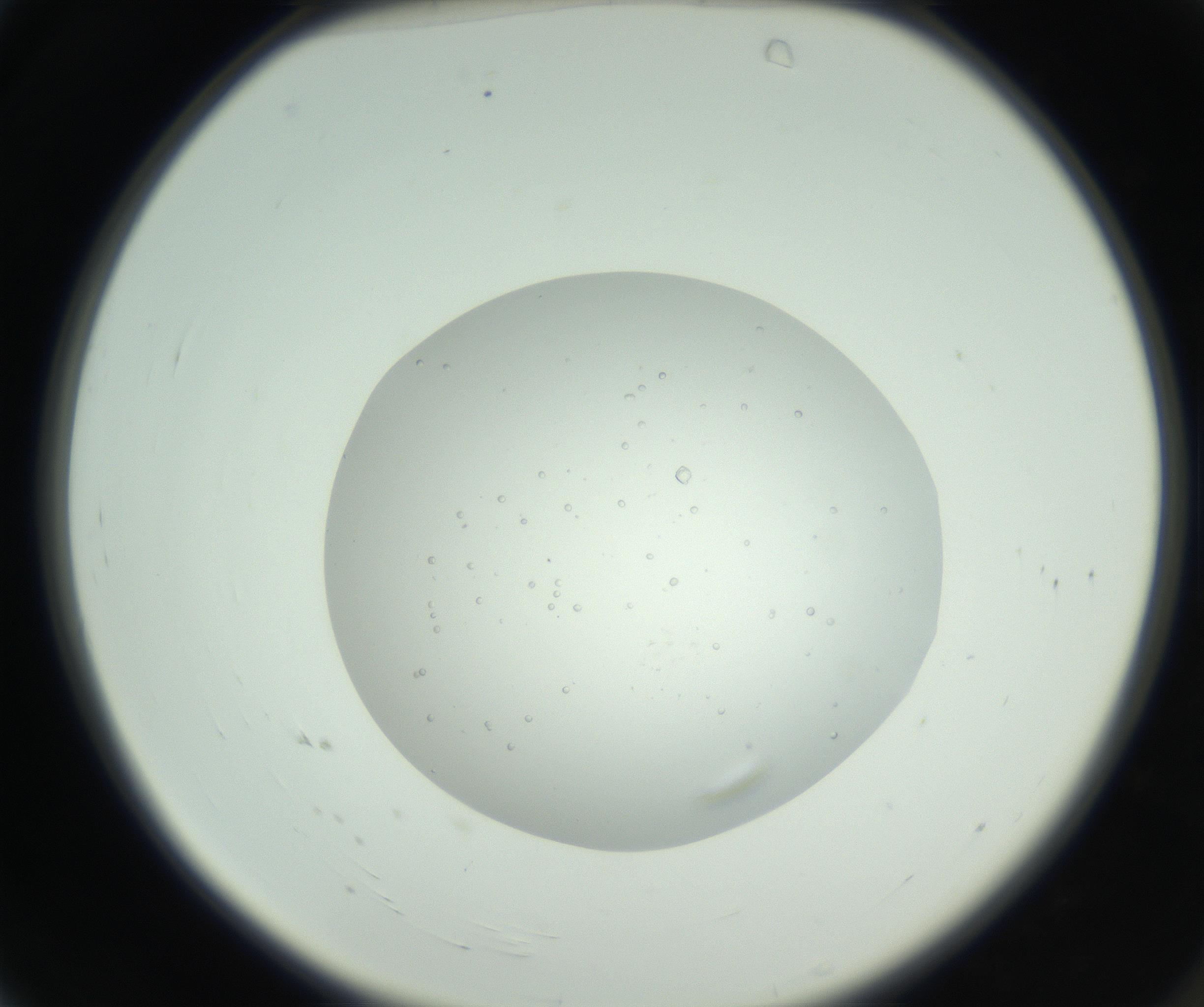 RI01_03_000_0212_Proj1_Clon1_MC_0000MC102659_010_160922_04_01_02_00_99_002_001_RAI.jpg