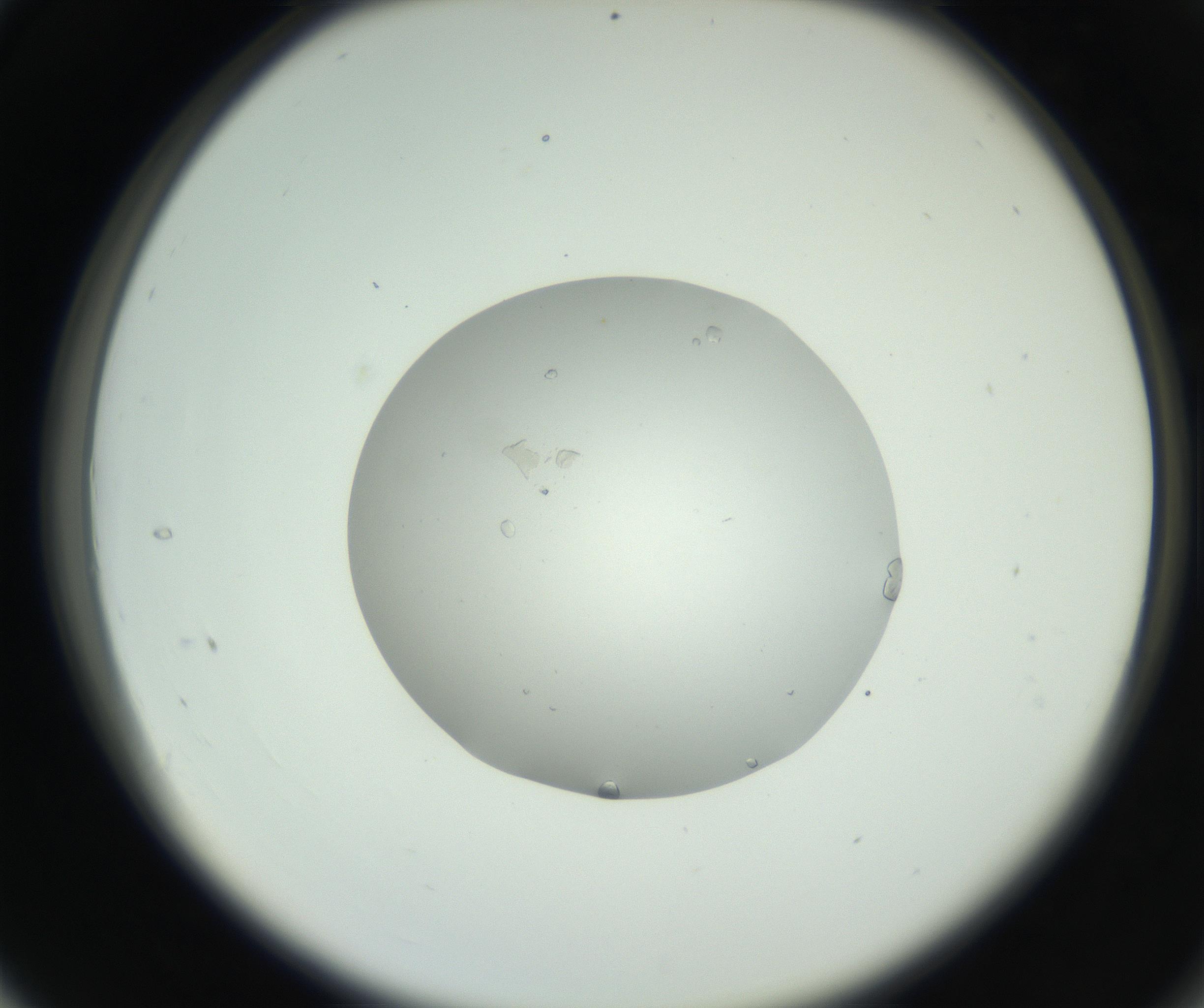 RI01_03_000_0212_Proj1_Clon1_MC_0000MC102659_010_160922_04_03_02_00_99_002_001_RAI.jpg