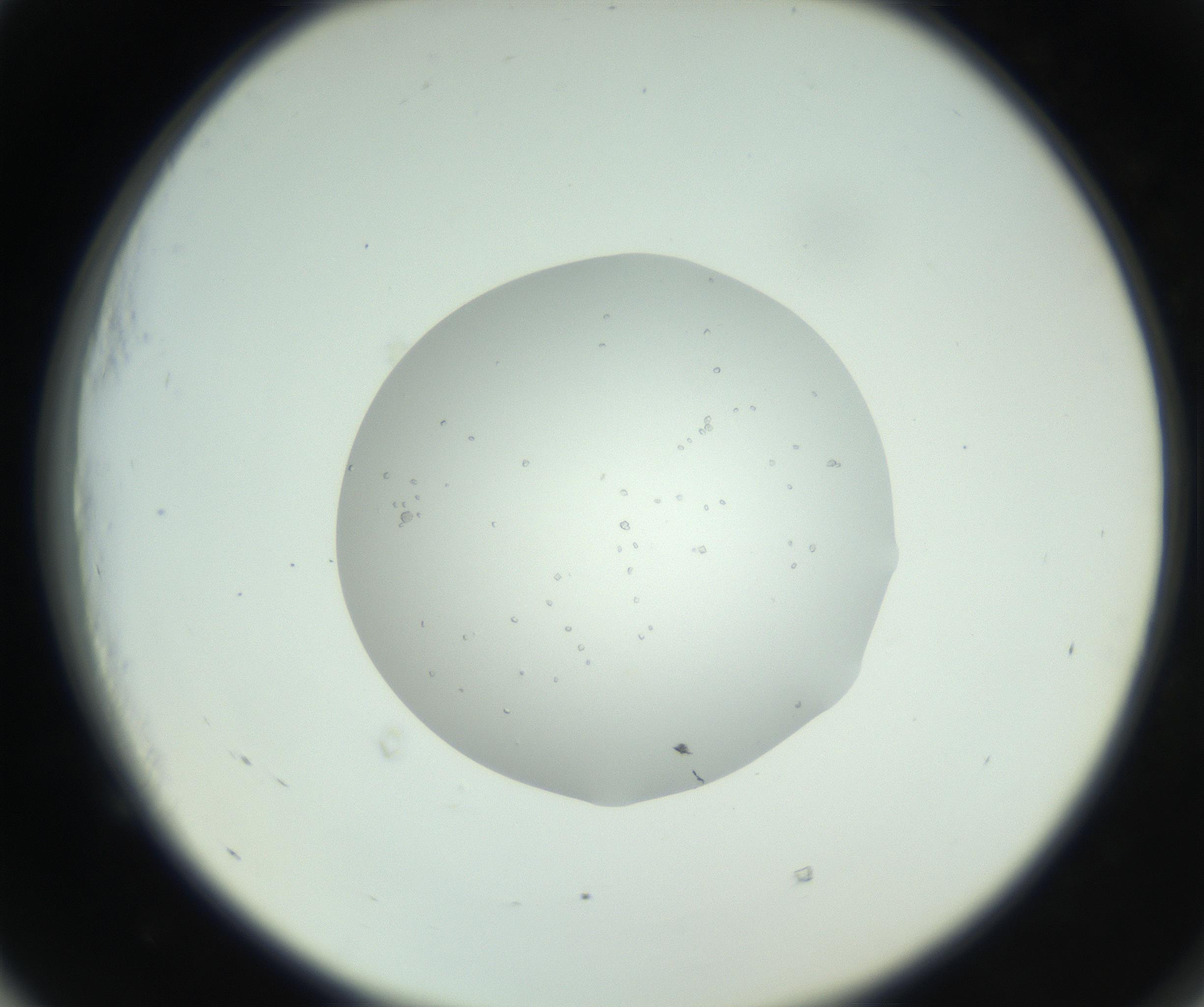 RI01_03_000_0212_Proj1_Clon1_MC_0000MC102659_010_160922_05_05_02_00_99_002_001_RAI.jpg