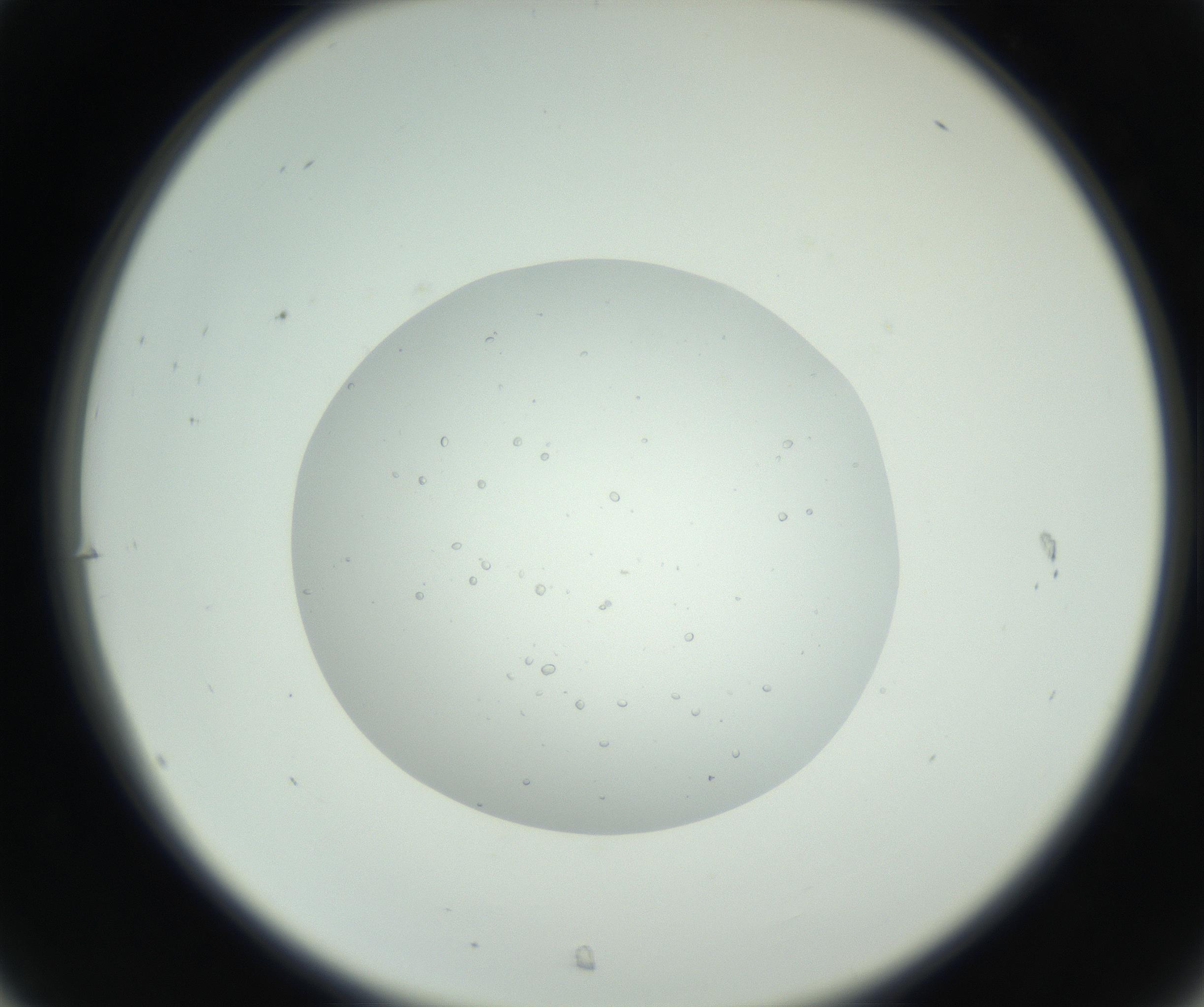 RI01_03_000_0212_Proj1_Clon1_MC_0000MC102659_010_160922_07_03_02_00_99_002_001_RAI.jpg