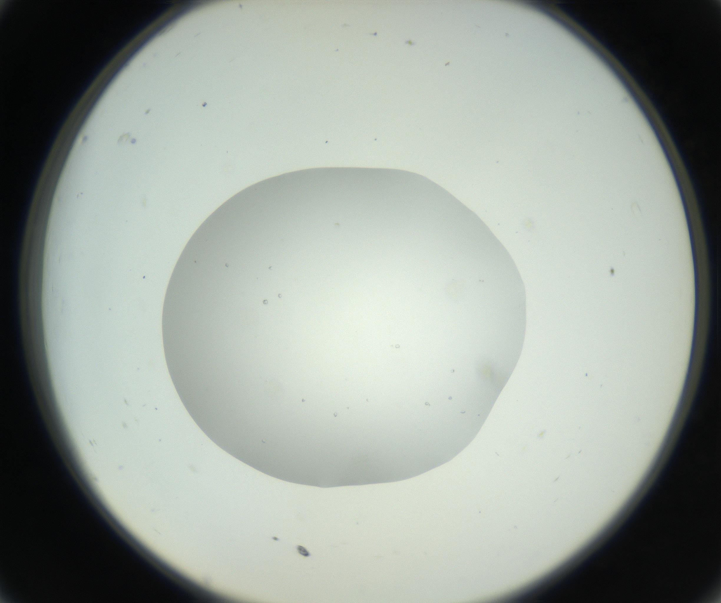 RI01_03_000_0212_Proj1_Clon1_MC_0000MC102659_010_160922_11_03_02_00_99_002_001_RAI.jpg