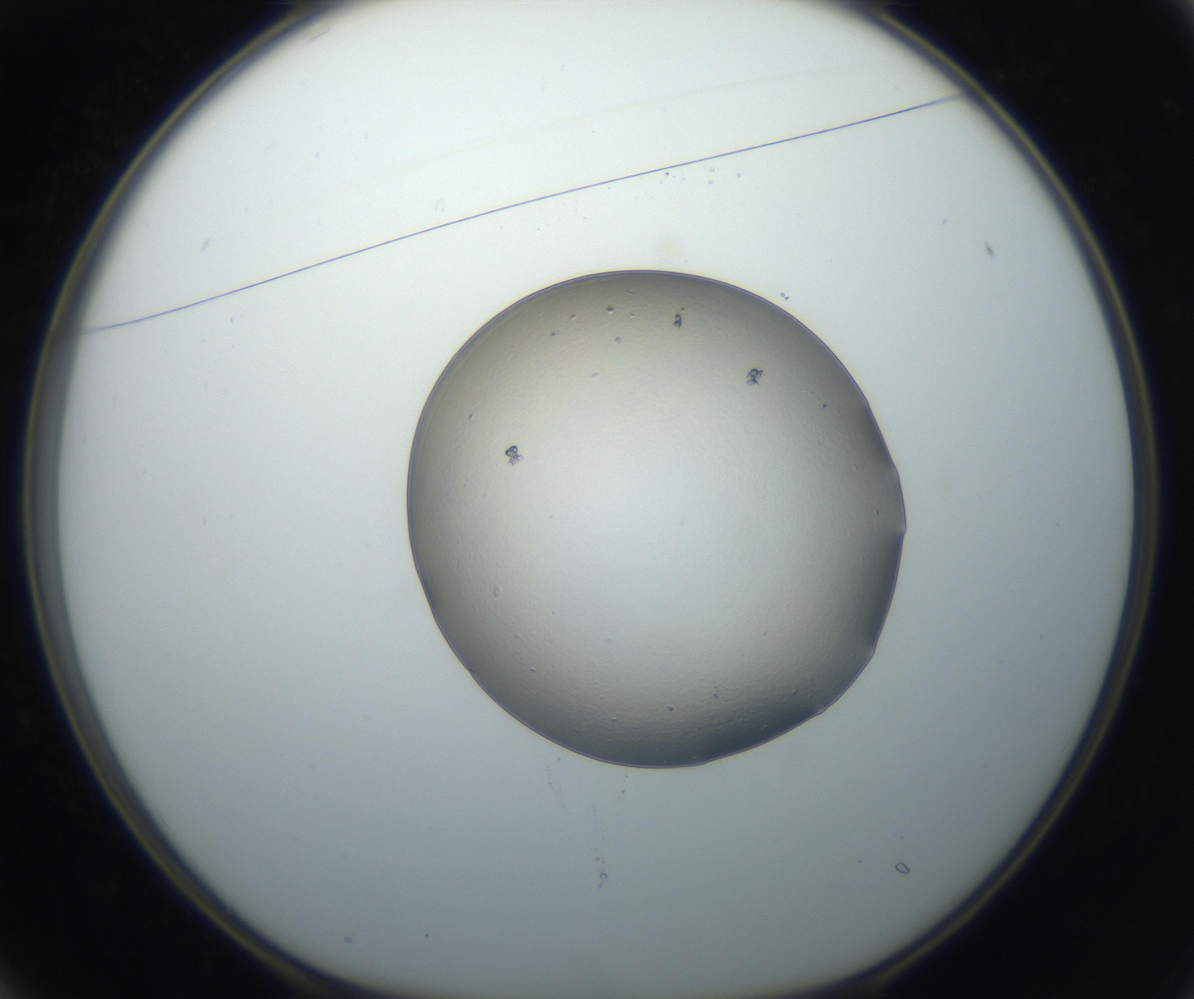 RI01_03_000_0212_Proj1_Clon1_MC_0000MC102664_005_160830_01_02_01_00_99_002_001_RAI.jpg