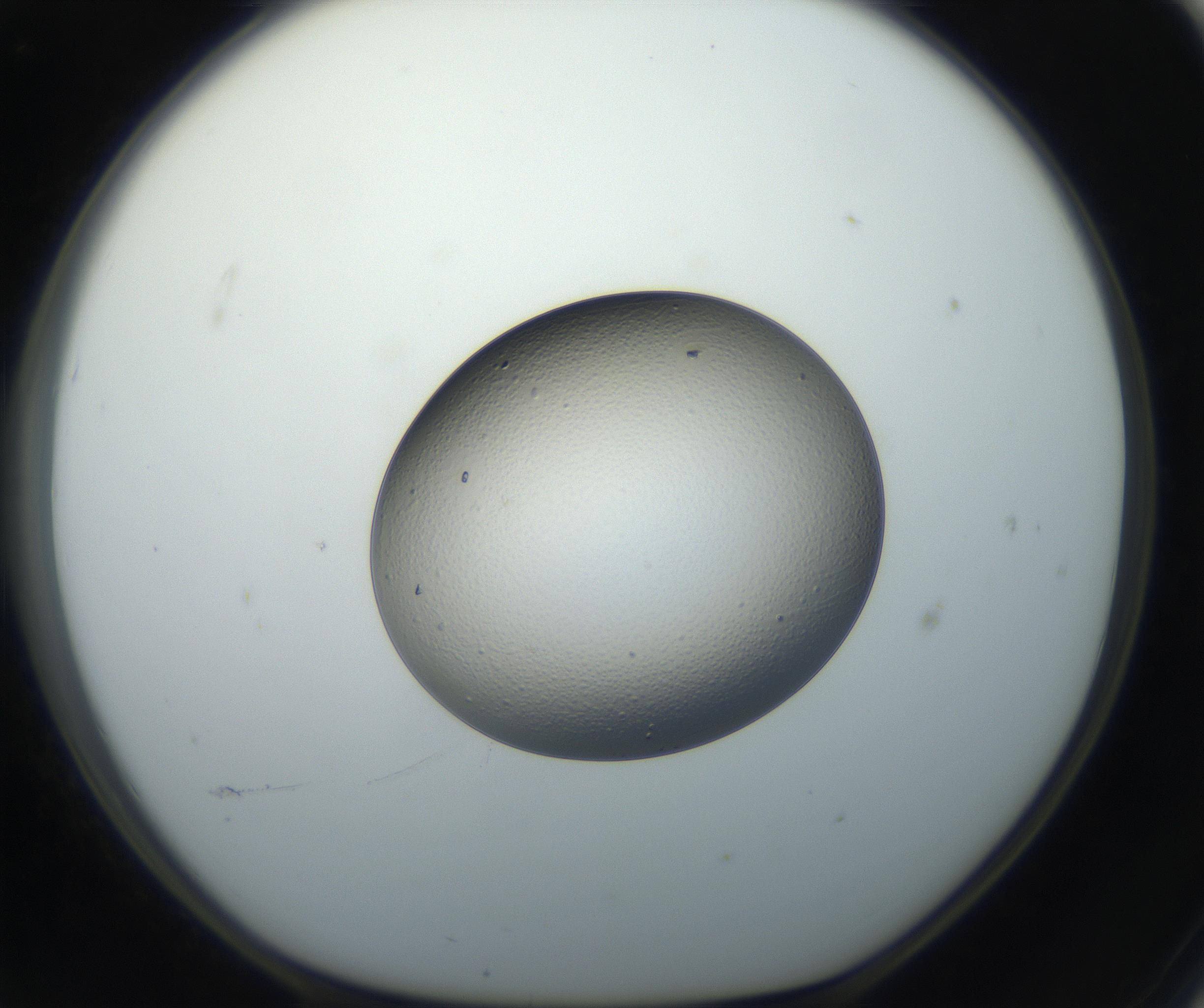 RI01_03_000_0212_Proj1_Clon1_MC_0000MC102664_005_160830_11_06_01_00_99_002_001_RAI.jpg