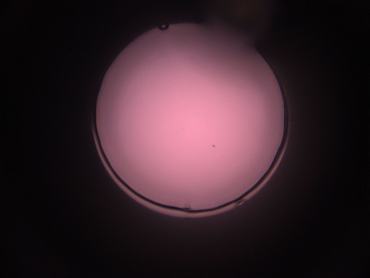 05i2_N7_ImagerDefaults_1.jpg