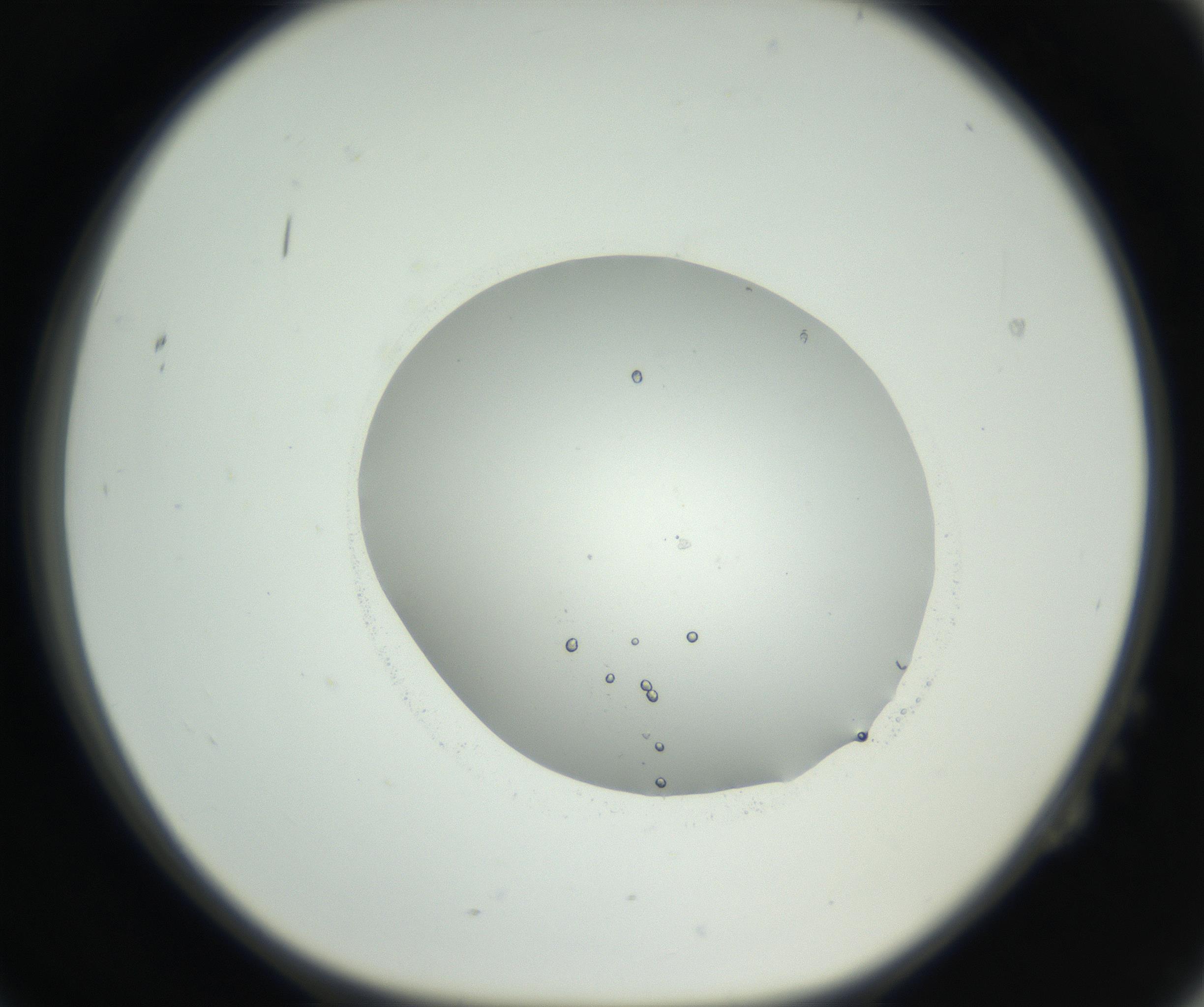 RI01_03_000_0212_Proj1_Clon1_MC_0000MC102666_004_160828_02_02_01_00_99_002_001_RAI.jpg